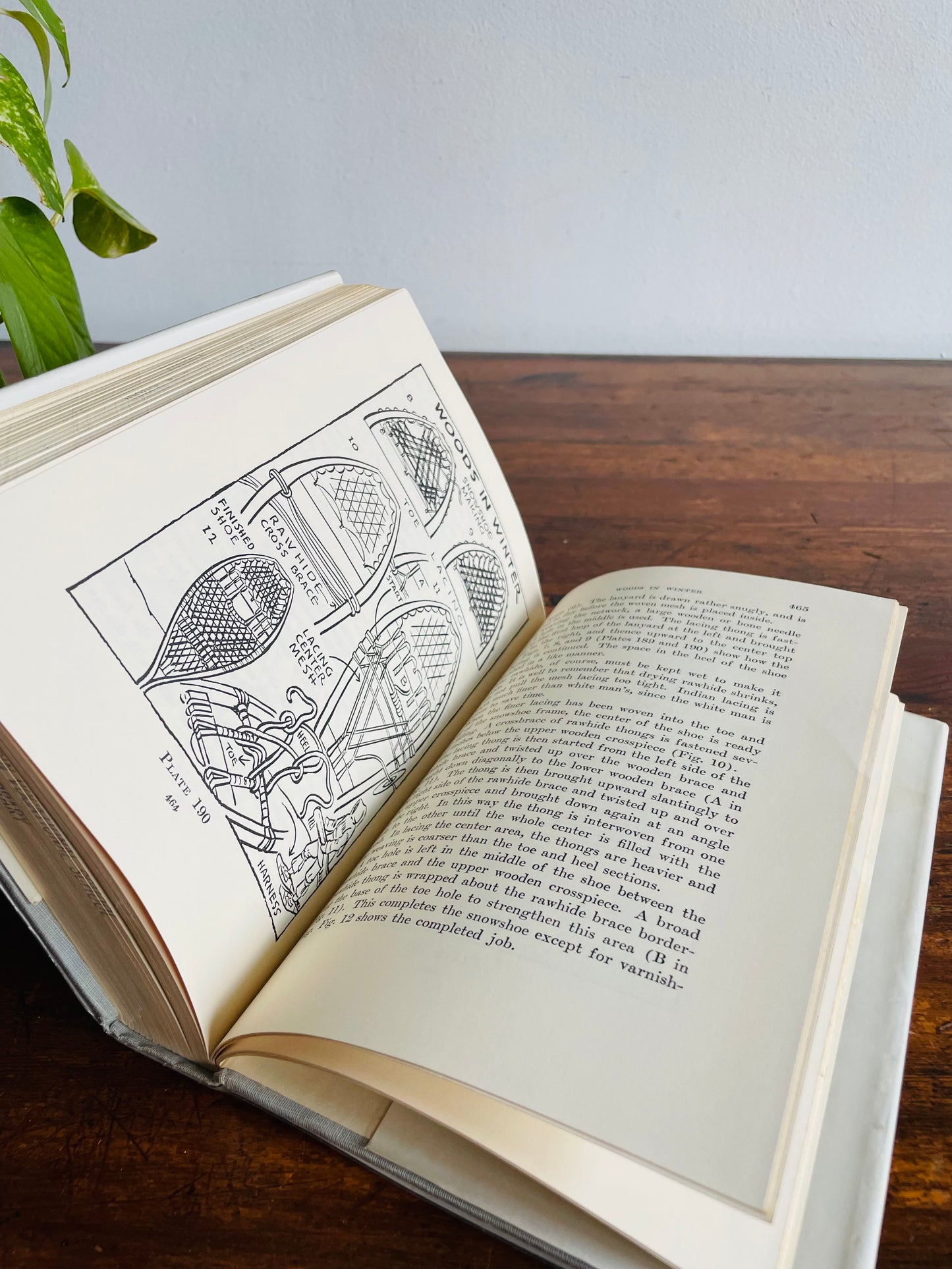 Wildwood Wisdom by Ellsworth Jaeger Hardcover Book (1971) - Camping & Woodsmanship Guide