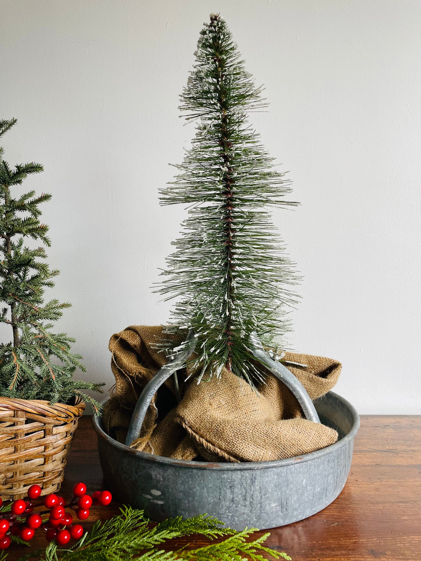 Galvanized Steel Gunnard 4 Brace No Problem Tree Stand - Less Watering, No Branch Cutting, Holds Crooked Trees Straight, Won't Rust!