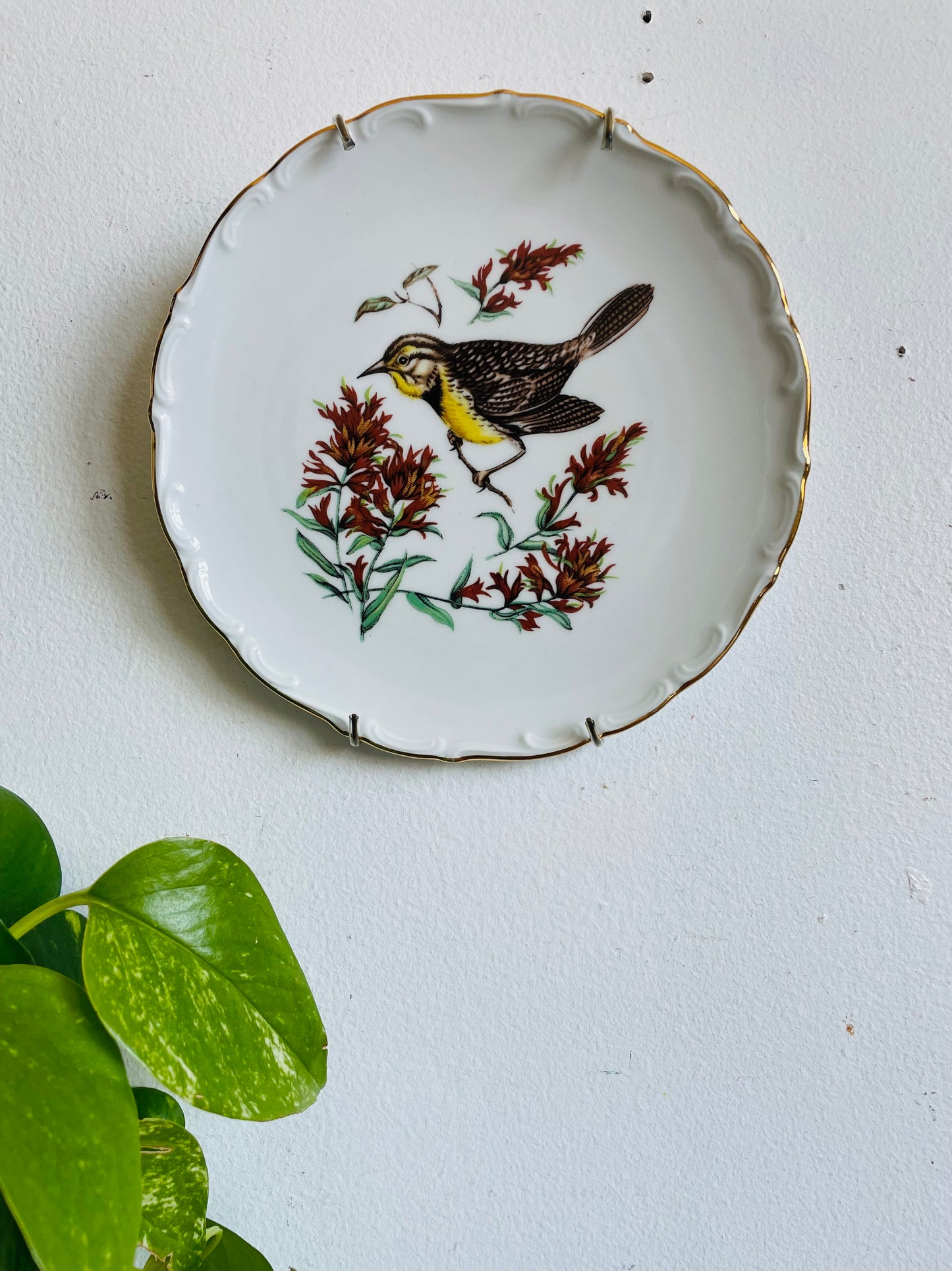Vintage Bavaria Schumann Arzberg Germany Plate with Bird Design - Includes Wall Plate Hanger but Could Use Without