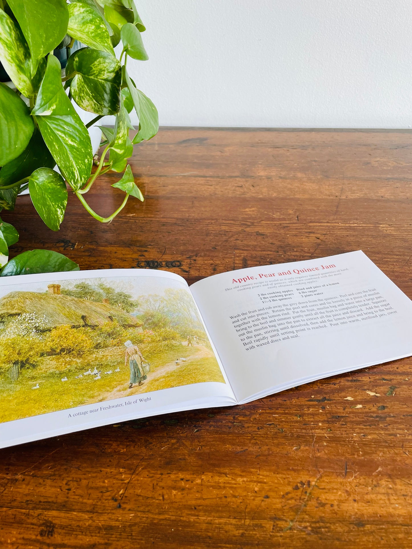 Favourite Country Preserves Pocket Cookbook - Traditional Homemade Jam, Chutney & Pickle Recipes