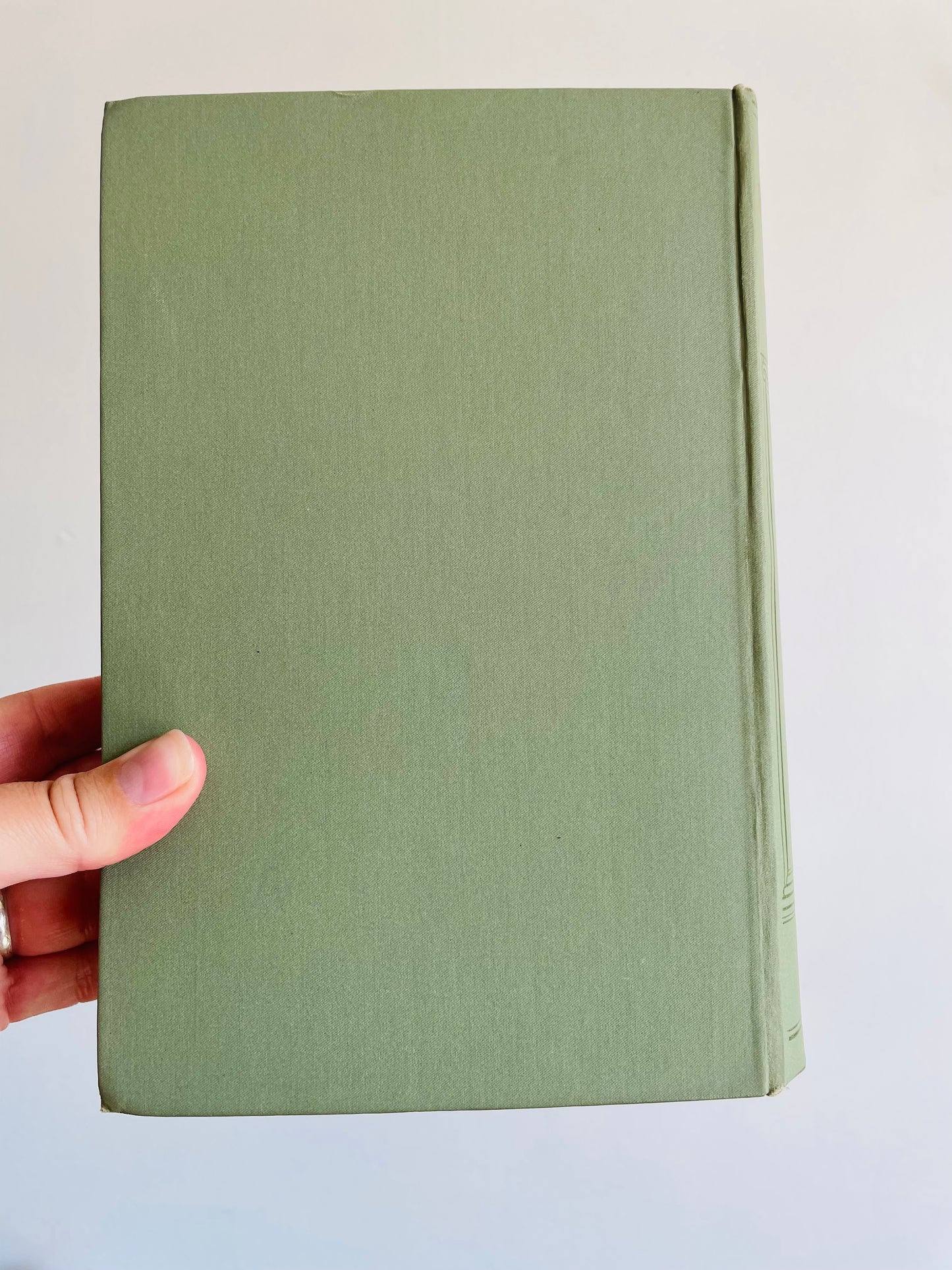 Antique English Literature Through the Ages: Beowulf to Stevenson Hardcover Book By Amy Cruse (1914)