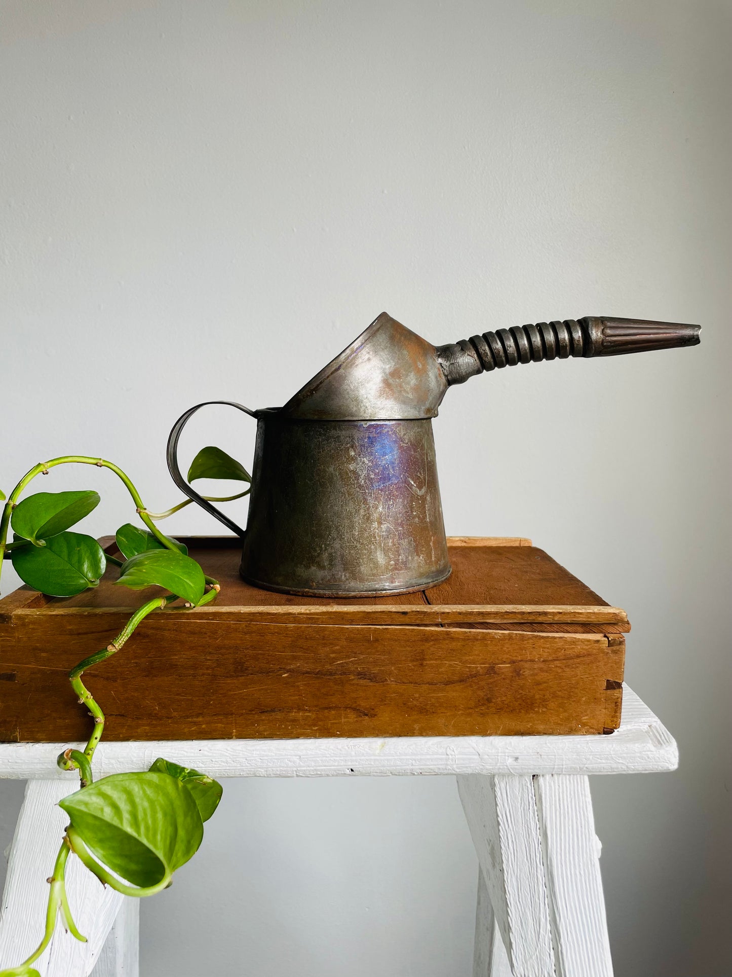 Rustic Farmhouse Quart General Steel Wares Limited Oil Can with Bendable Spout & Handle - Great for Flowers!