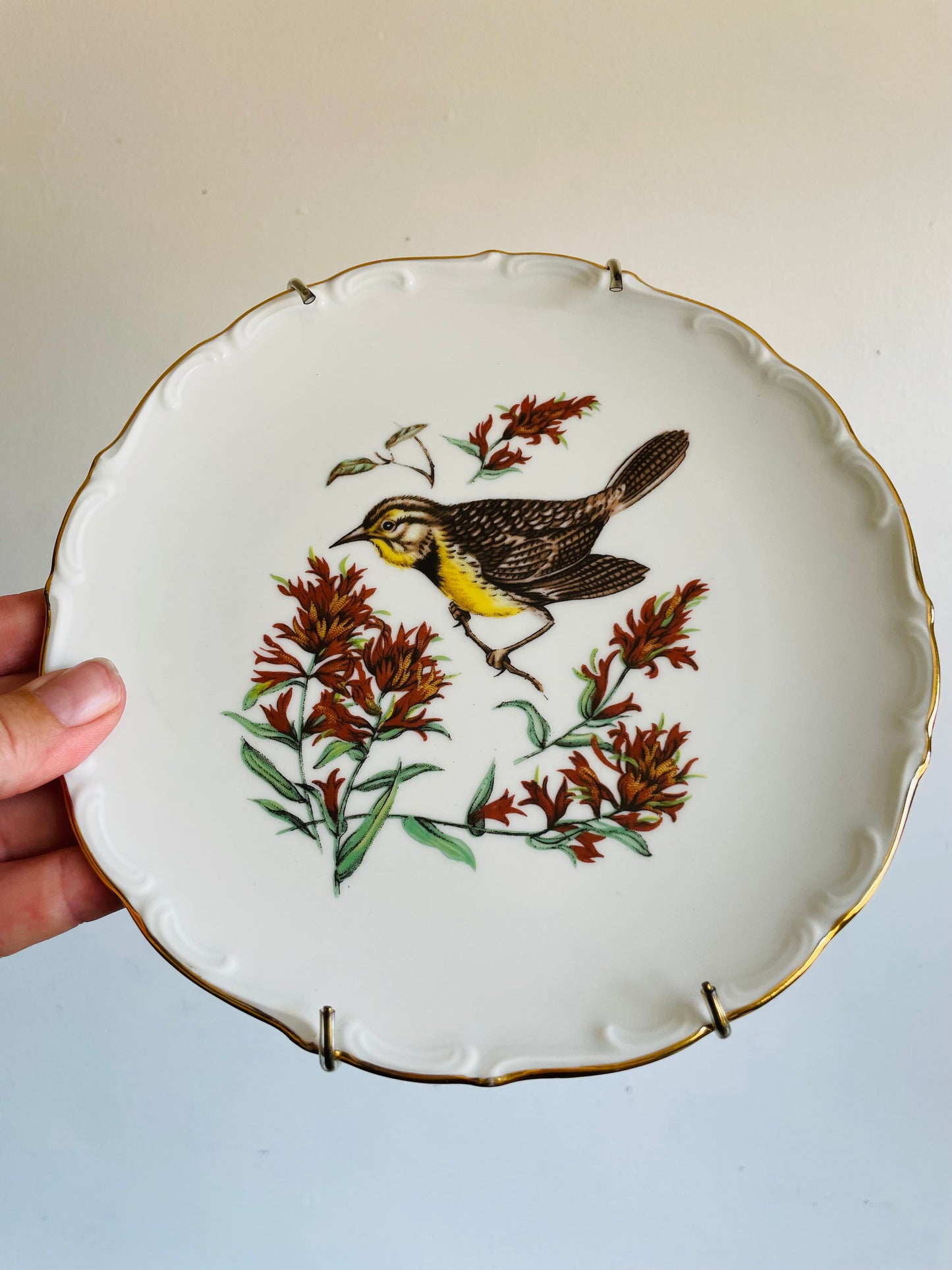 Vintage Bavaria Schumann Arzberg Germany Plate with Bird Design - Includes Wall Plate Hanger but Could Use Without