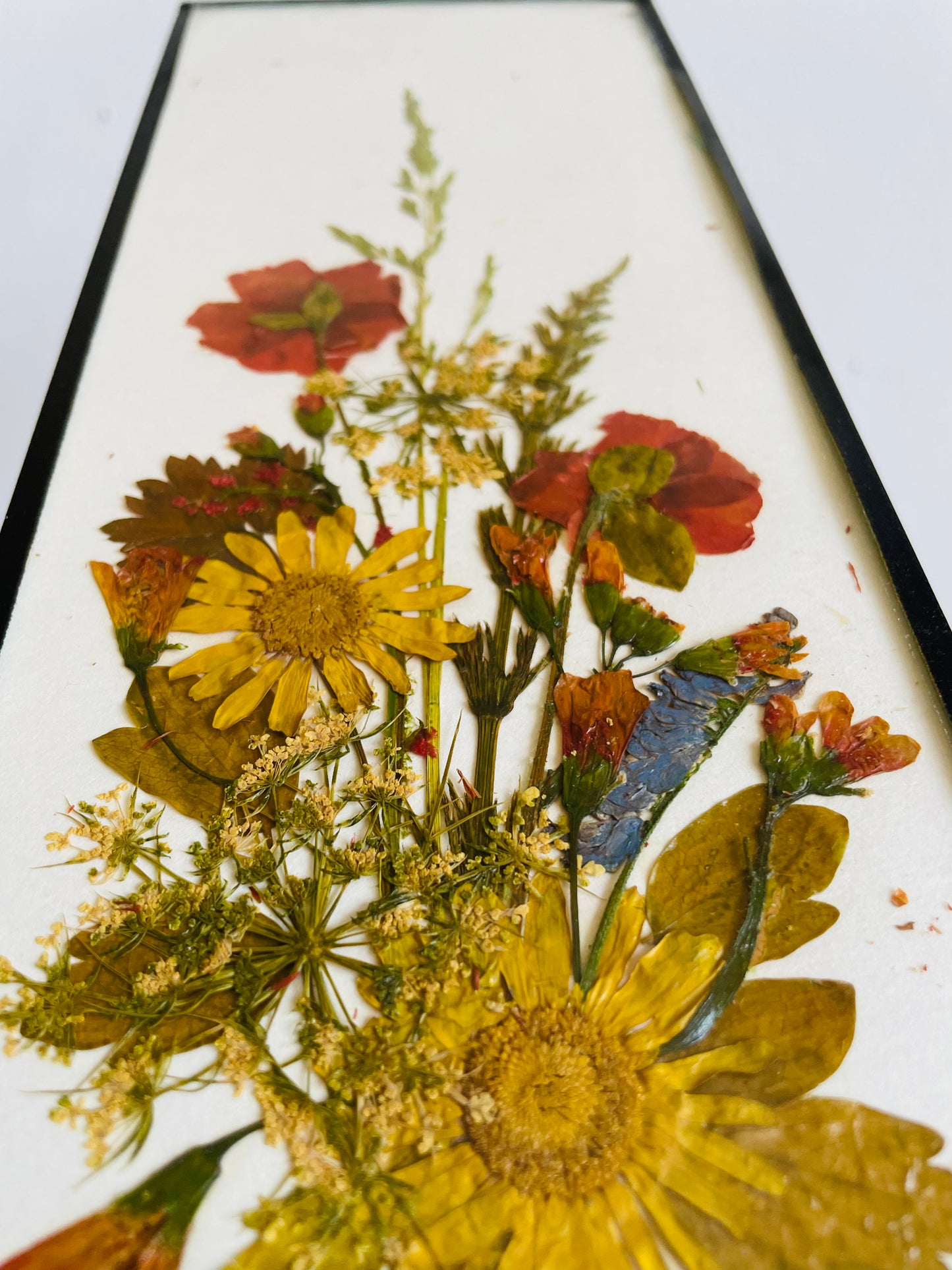 Vintage Canadian Wildflowers Meadowcharm Pressed Dried Flowers Picture - Artist Signed - Made in Canada