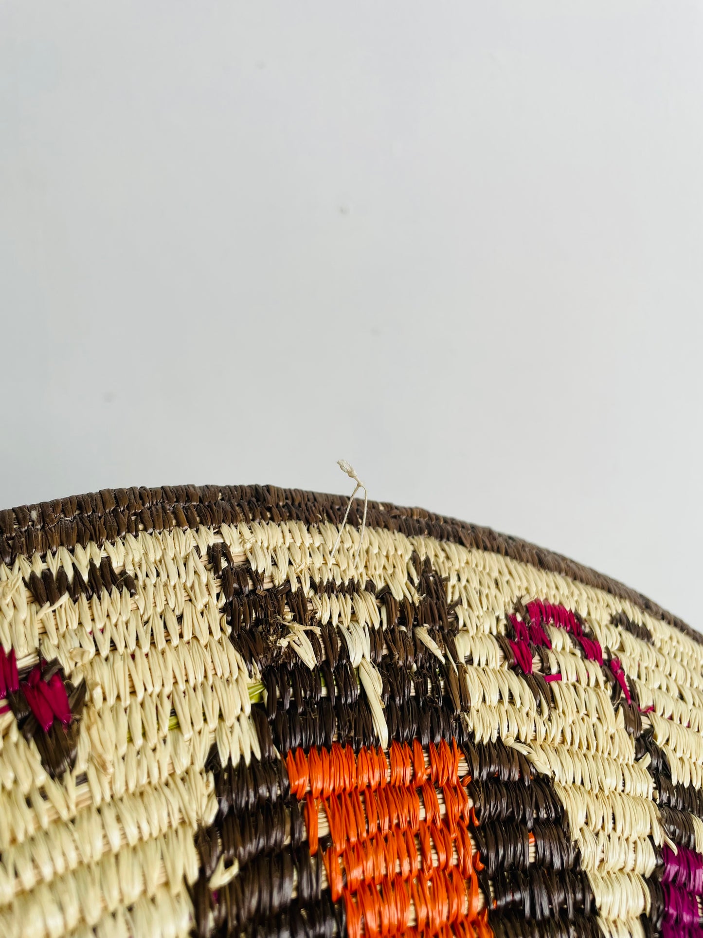 Emberá-Wounaan Panama Indigenous Tribal Woven Basket Plate Wall Hanging with Bird & Butterfly Design