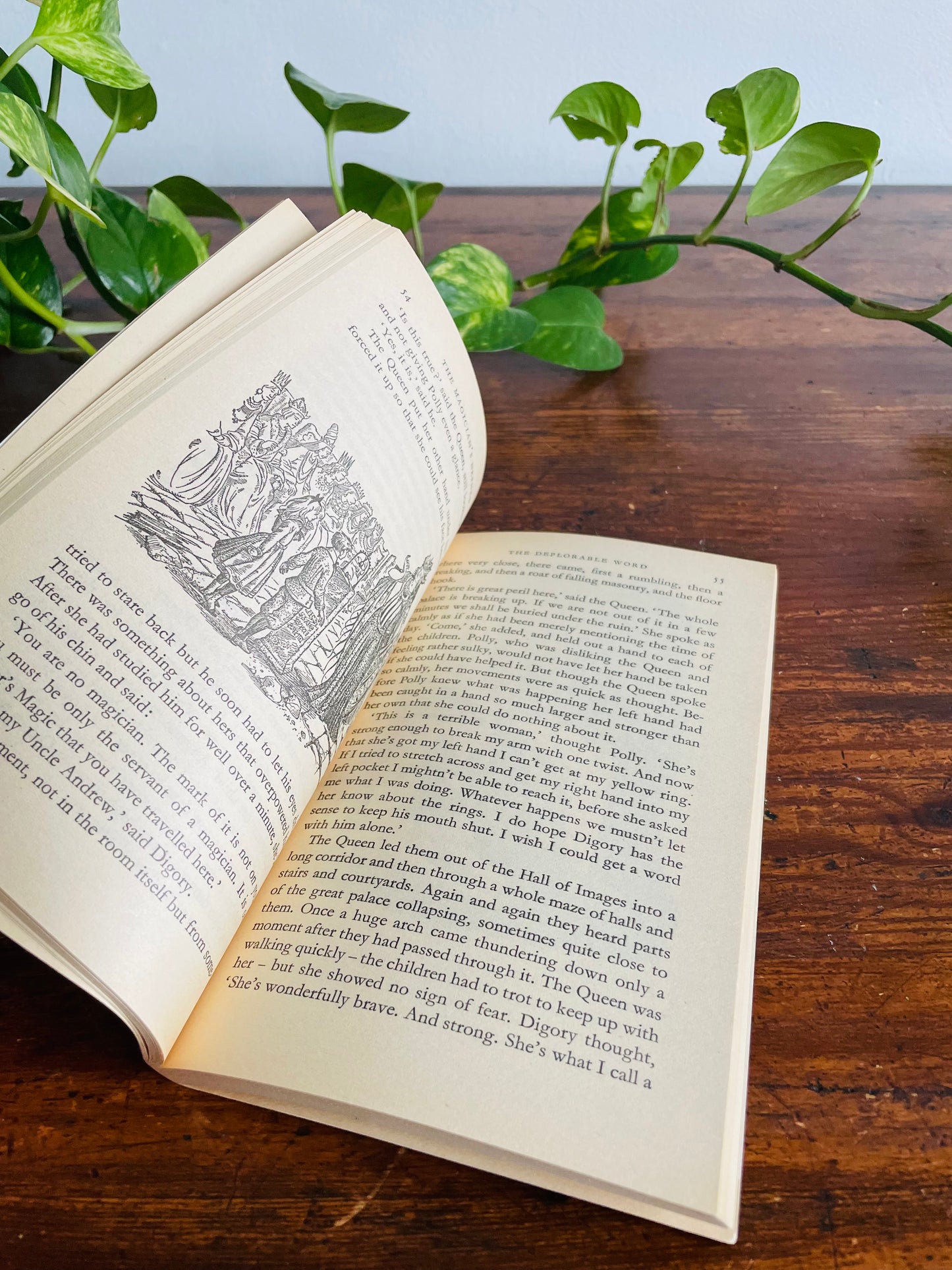 The Magician's Nephew Paperback Puffin Book by C. S. Lewis Illustrated by Pauline Baynes (1978)