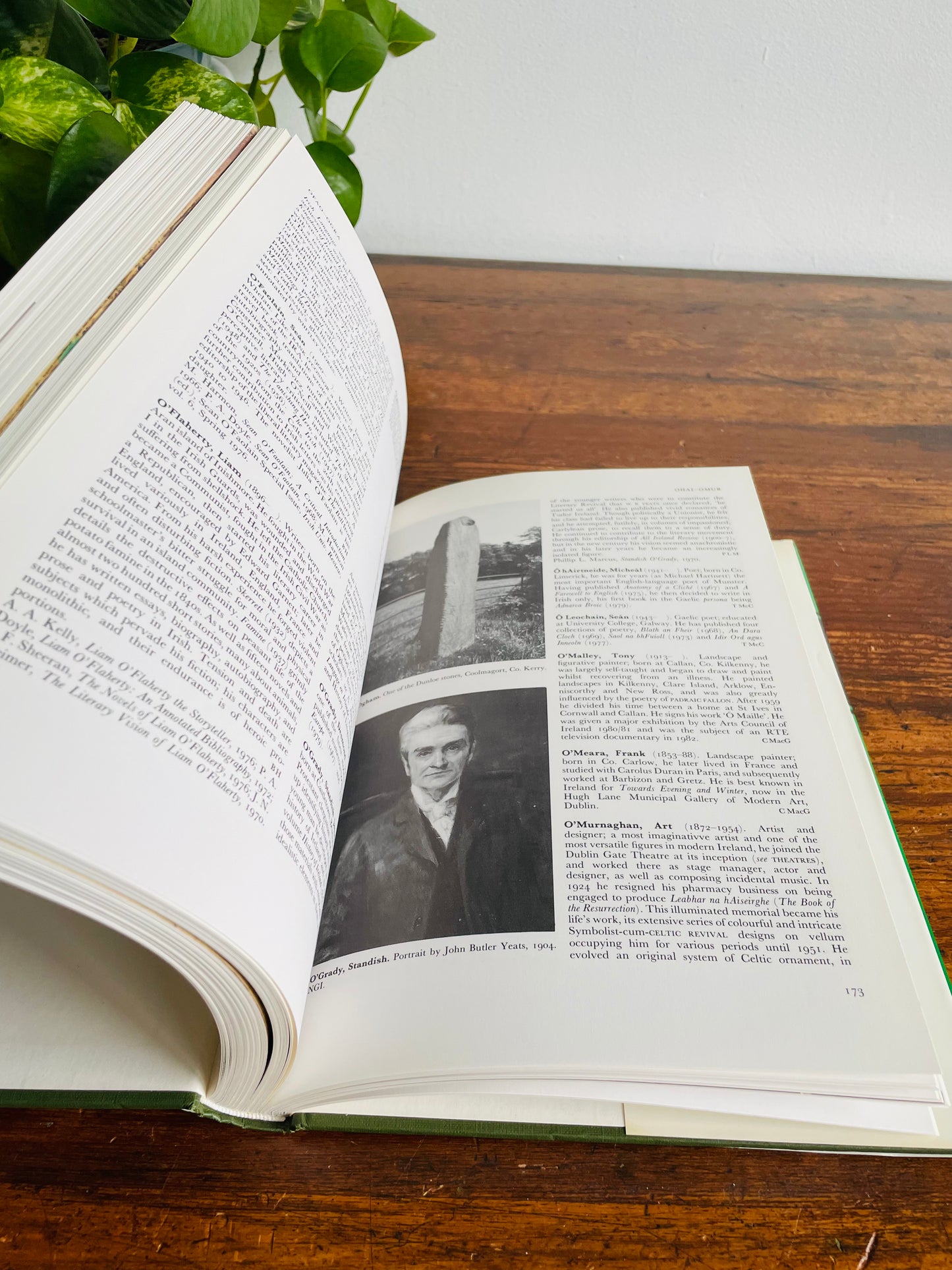 Ireland: A Cultural Encyclopedia Hardcover Book (1983)