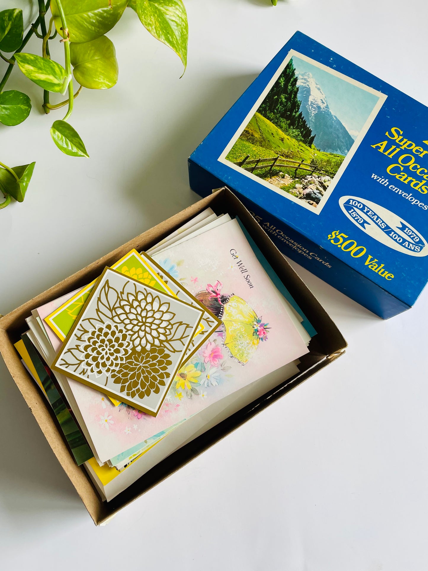 Vintage Box of Unused Assorted Greeting Cards for All Occasions - Set of 34 with Envelopes