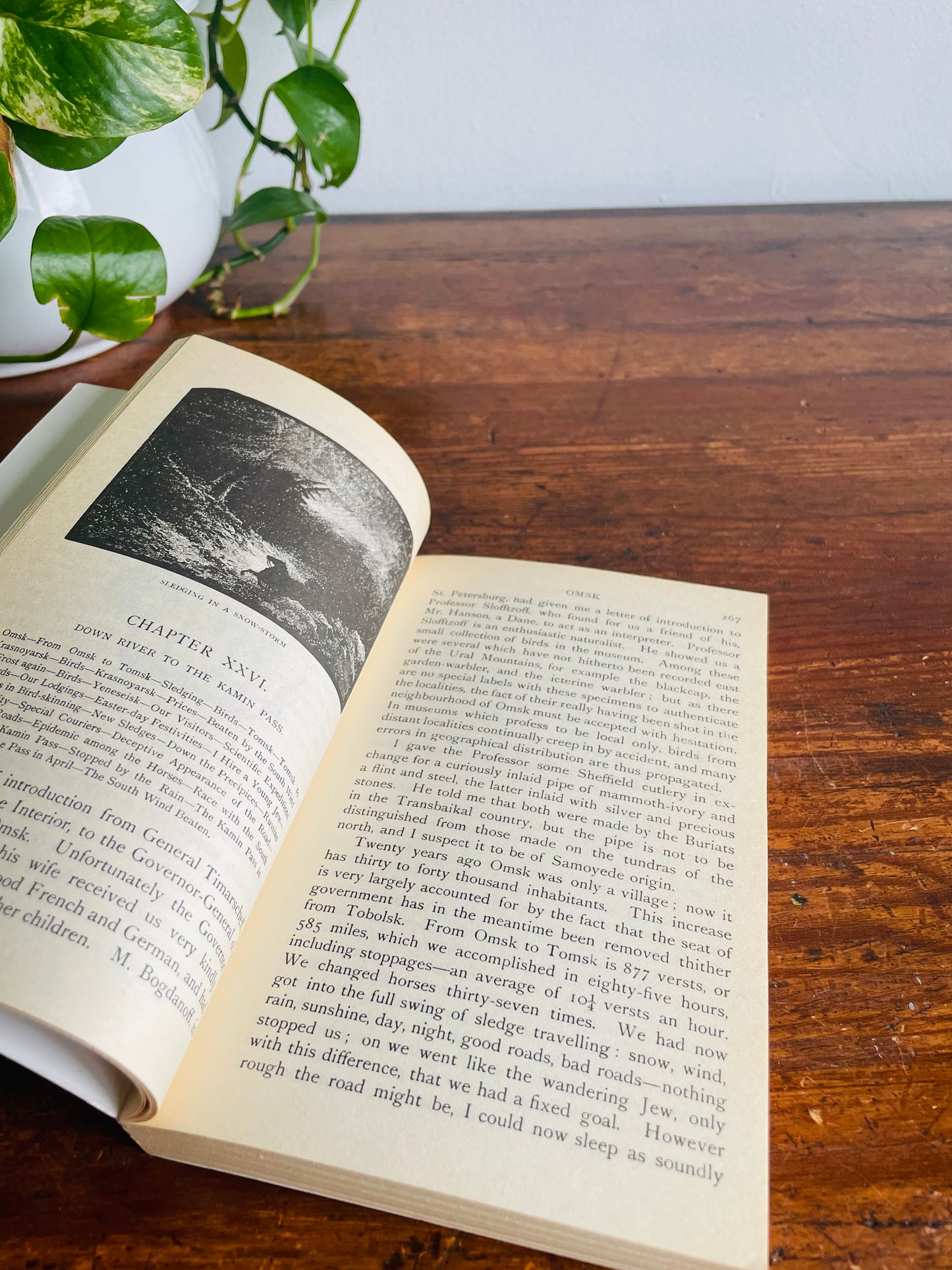 The Birds of Siberia The Yenesei Paperback Book by Henry Seebohm (1985)