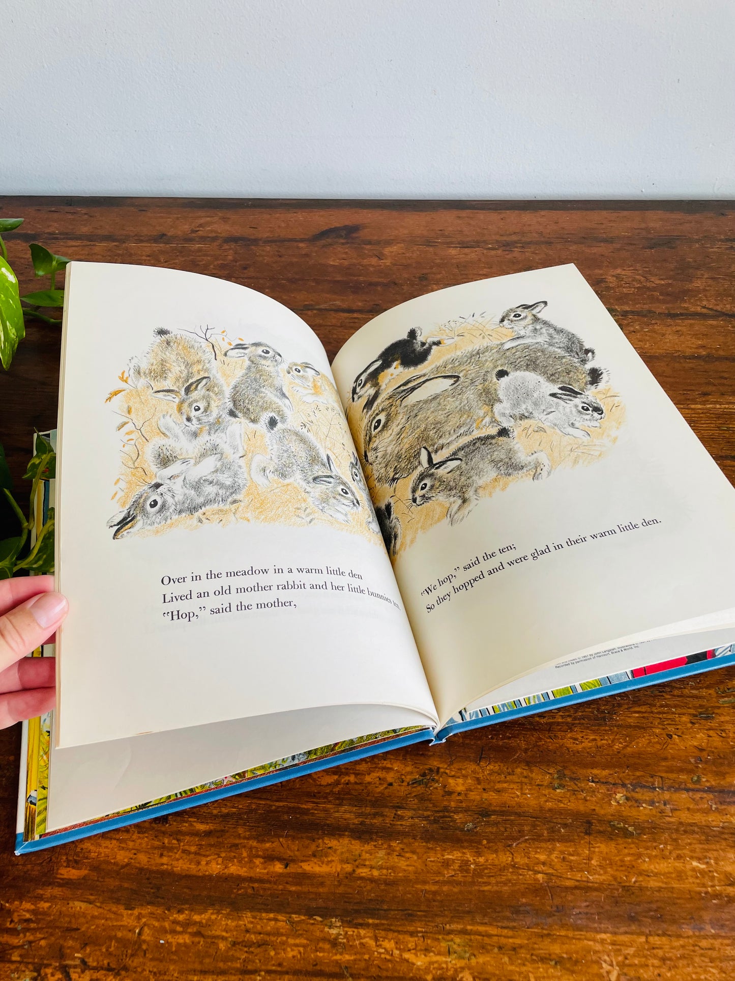 Over in the Meadow Hardcover Children's Book by John Langstaff & Illustrated by Feodor Rojankovsky - Includes Vinyl Record (1957)