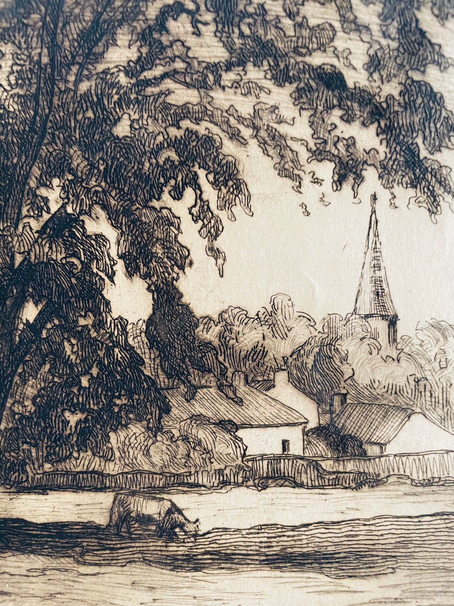 Etched Picture of Cow Grazing Under Tree with Town & Steeple in Background - Artist Signed