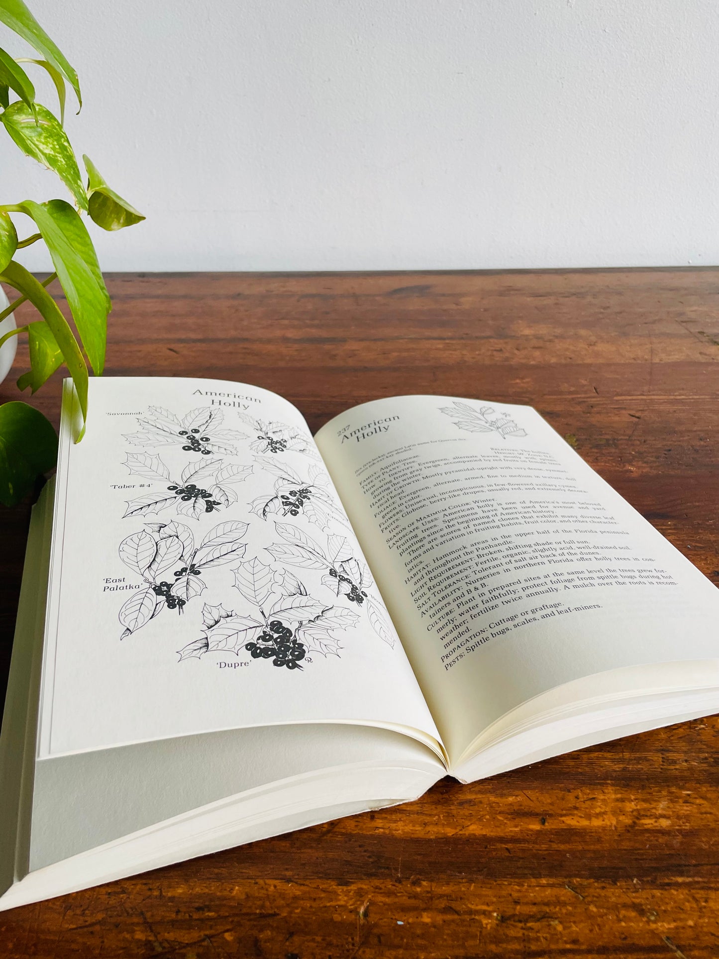 Florida Landscape Plants Native & Exotic by John V. Watkins & Thomas J. Sheehan Paperback Book (1975)