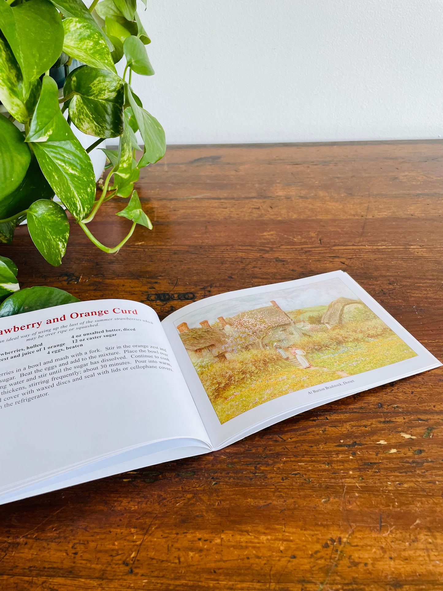 Favourite Country Preserves Pocket Cookbook - Traditional Homemade Jam, Chutney & Pickle Recipes