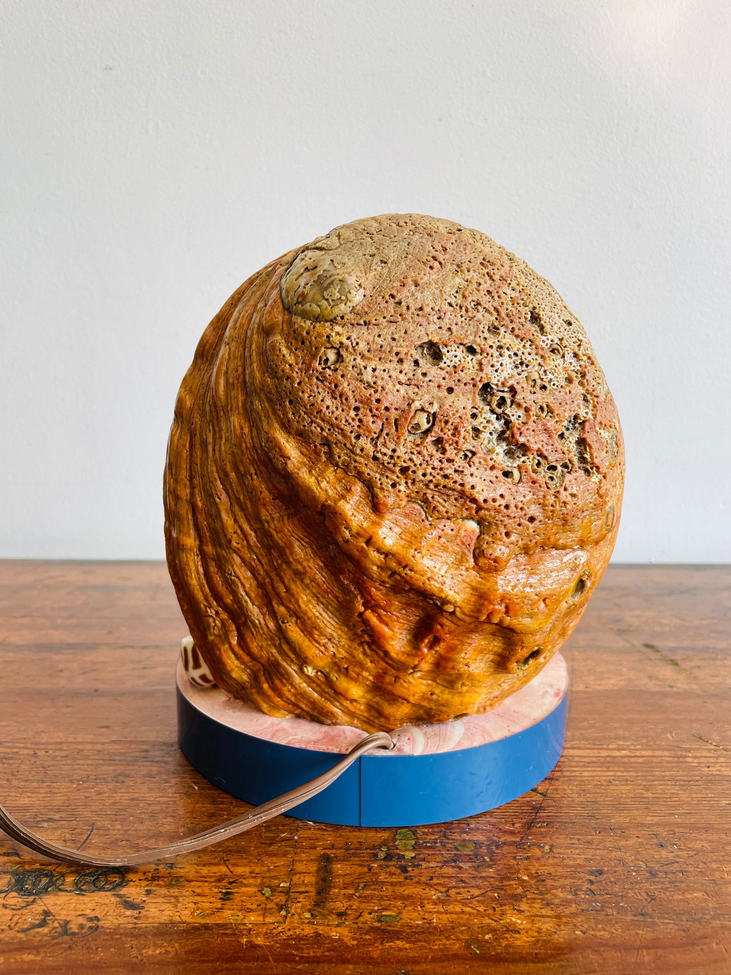 Kitschy & Unique Mary Under The Sea Shell Lamp