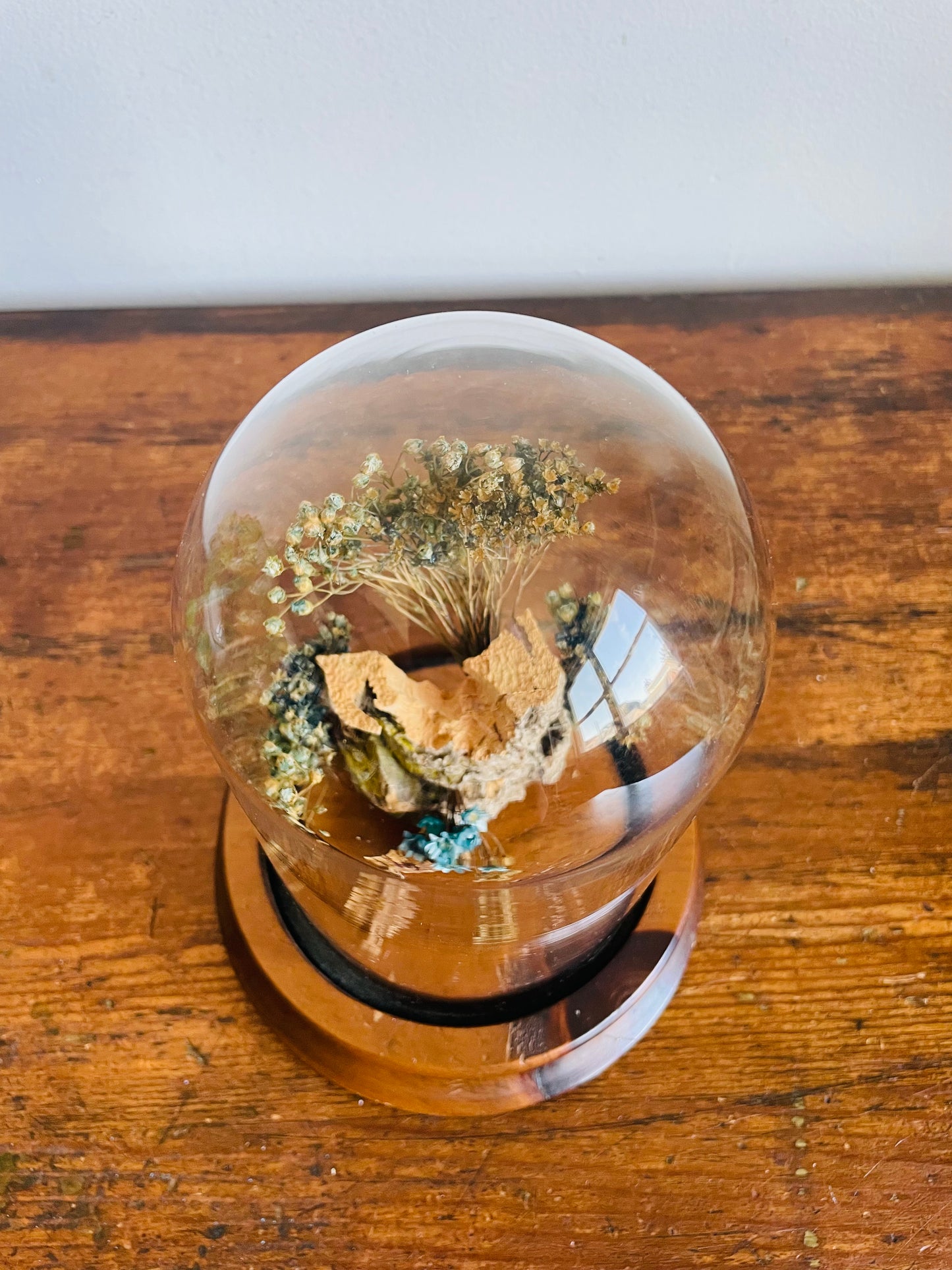 Vintage Glass Terrarium Cloche Dome on Wood Base with Dried Flower Display - Nature Decor