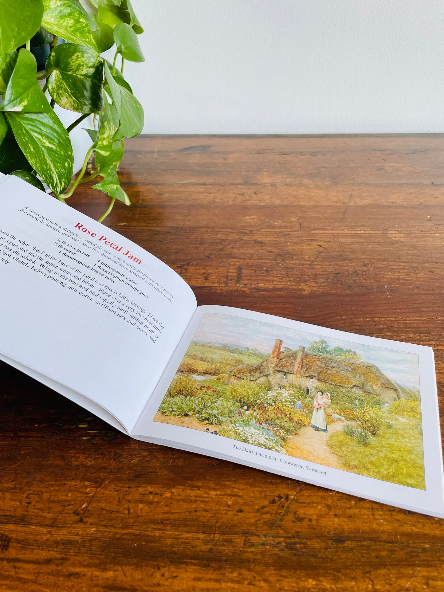 Favourite Country Preserves Pocket Cookbook - Traditional Homemade Jam, Chutney & Pickle Recipes