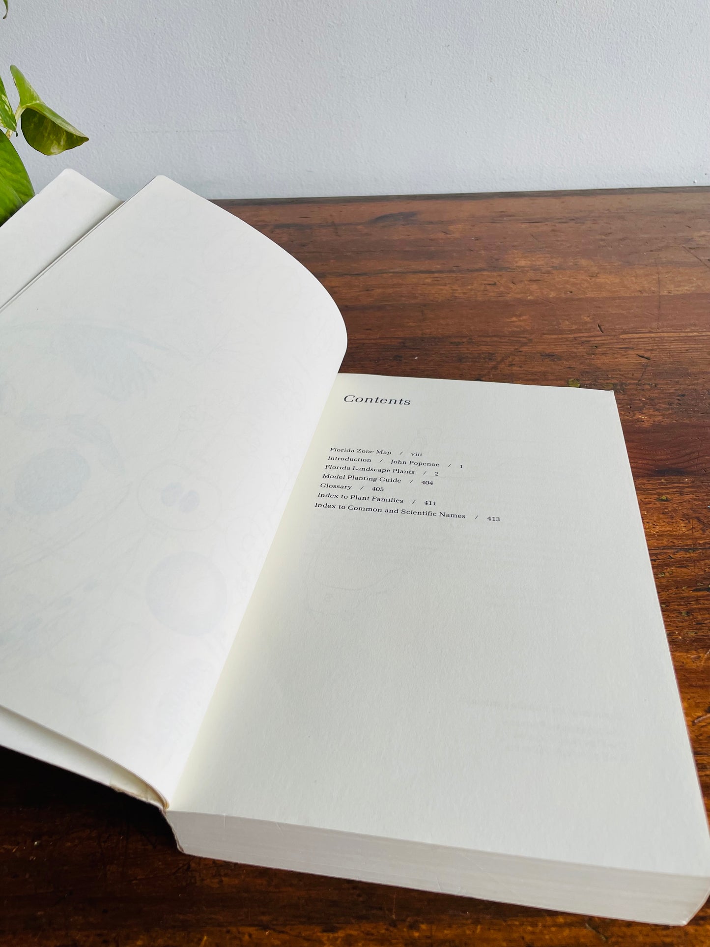 Florida Landscape Plants Native & Exotic by John V. Watkins & Thomas J. Sheehan Paperback Book (1975)