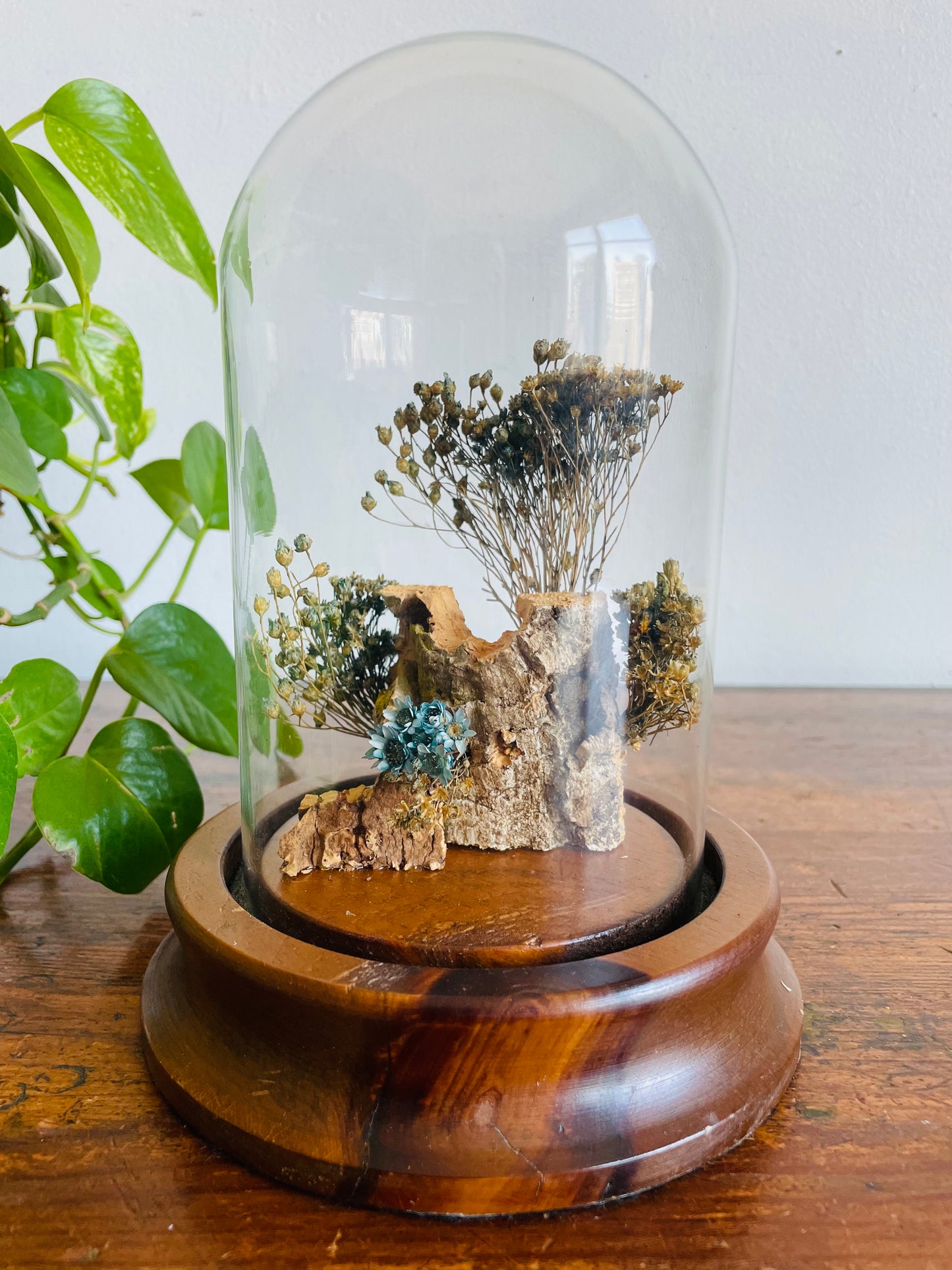 Vintage Glass Terrarium Cloche Dome on Wood Base with Dried Flower Display - Nature Decor