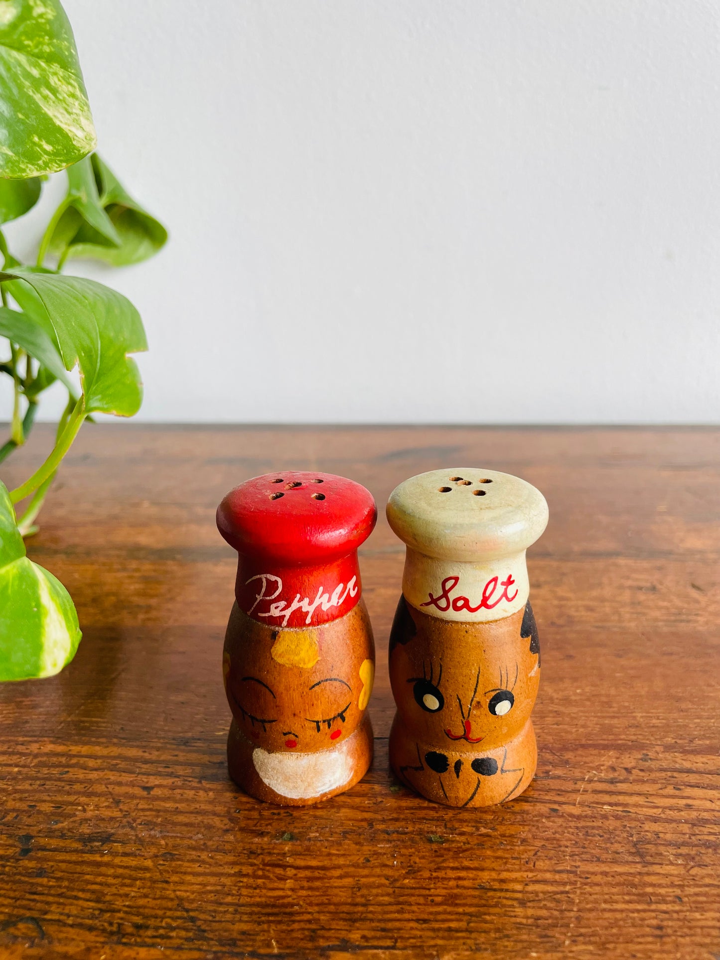 Adorable Wood Salt & Pepper Shakers with Hand Painted Faces