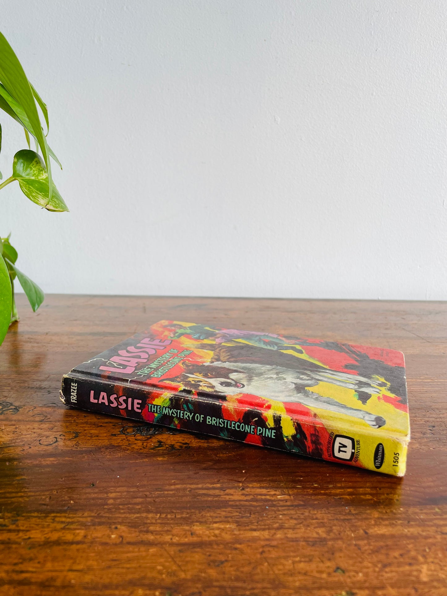 Lassie The Mystery of Bristlecone Pine Hardcover Book (1967)