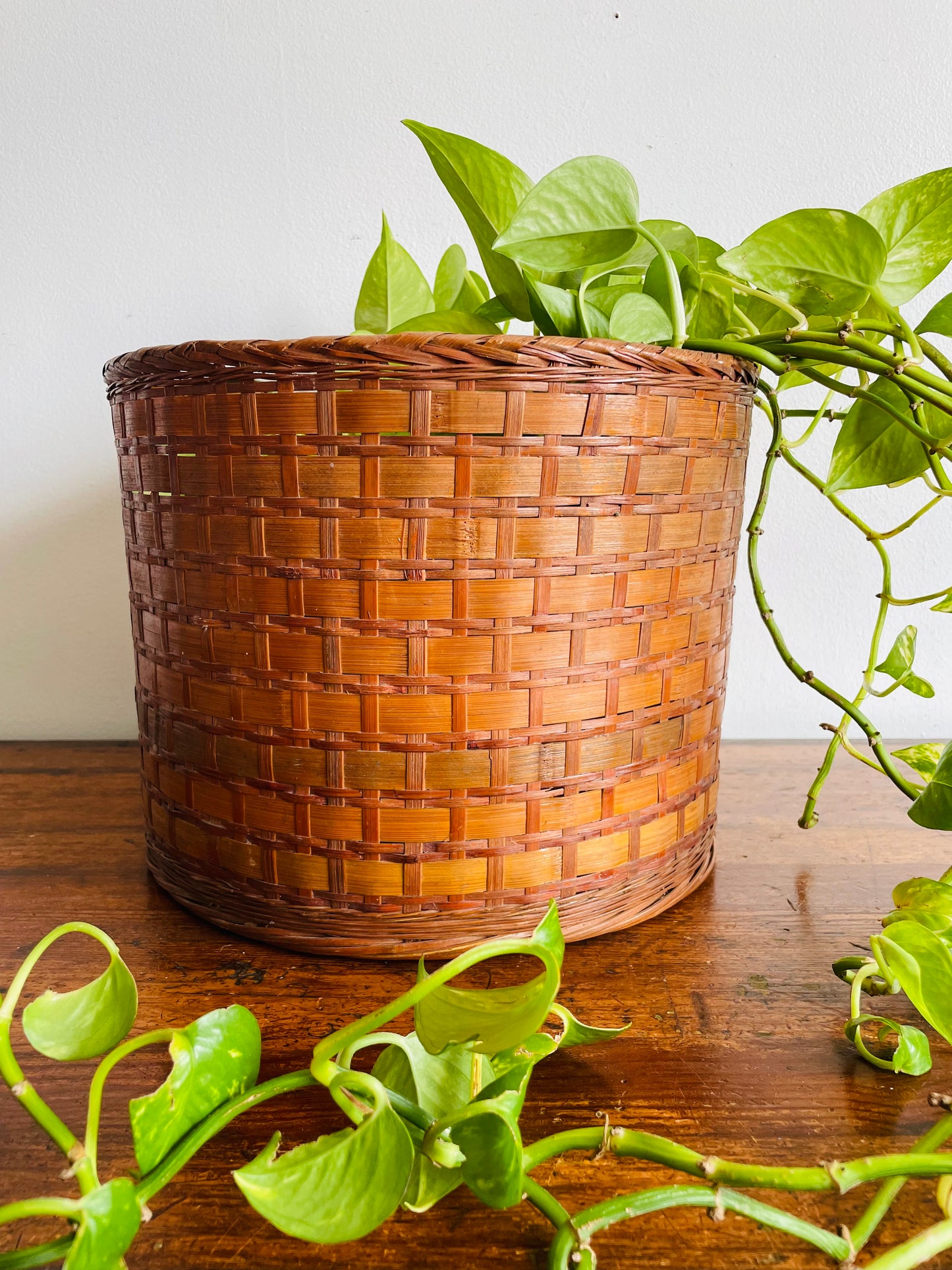 Large Round Woven Basket - Planter, Wastepaper, or Convert into a Lamp Shade!
