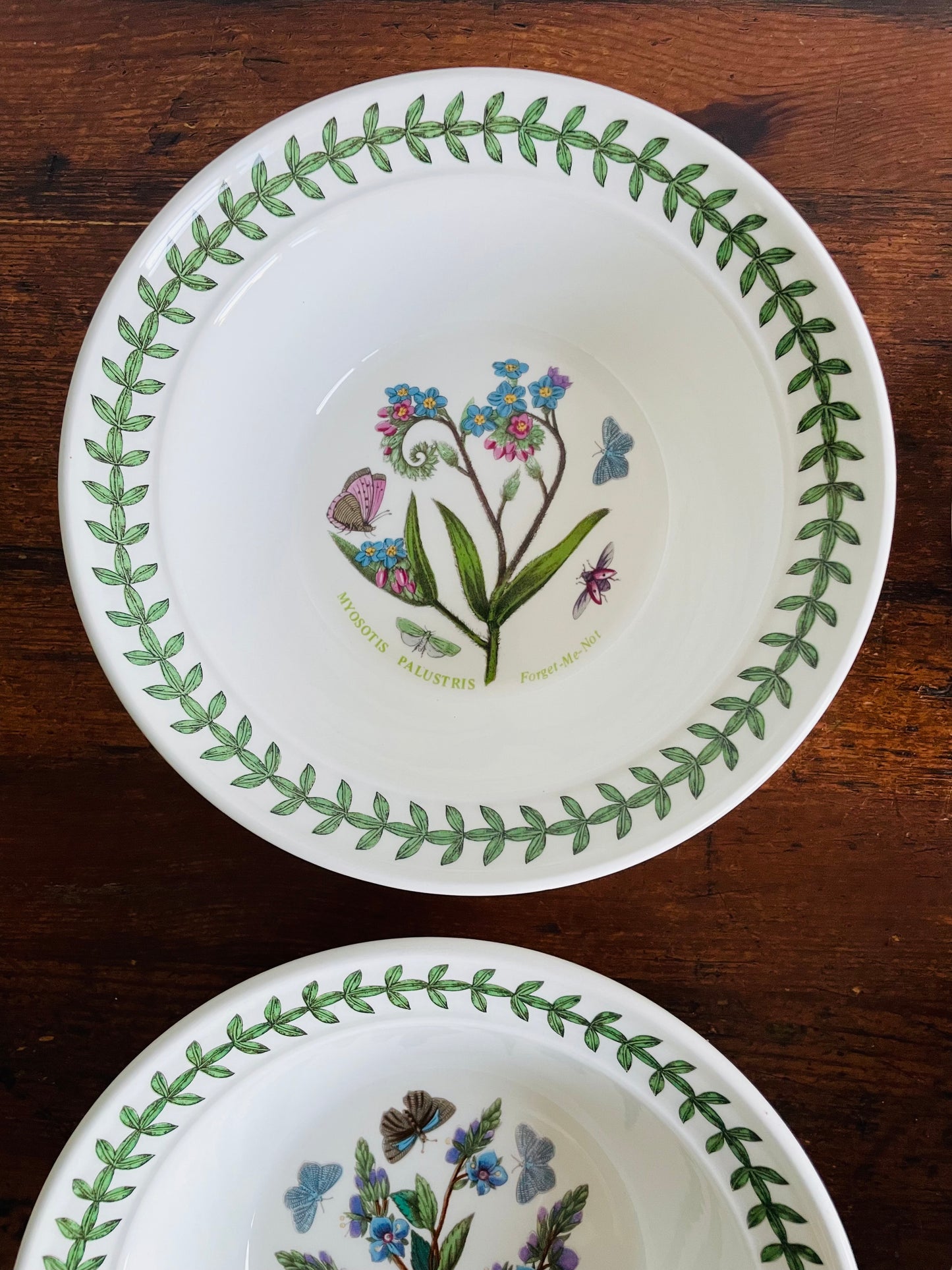 Portmeirion Susan Williams-Ellis Botanic Garden 6.5" Bowls - Set of 6 - Made in Britain