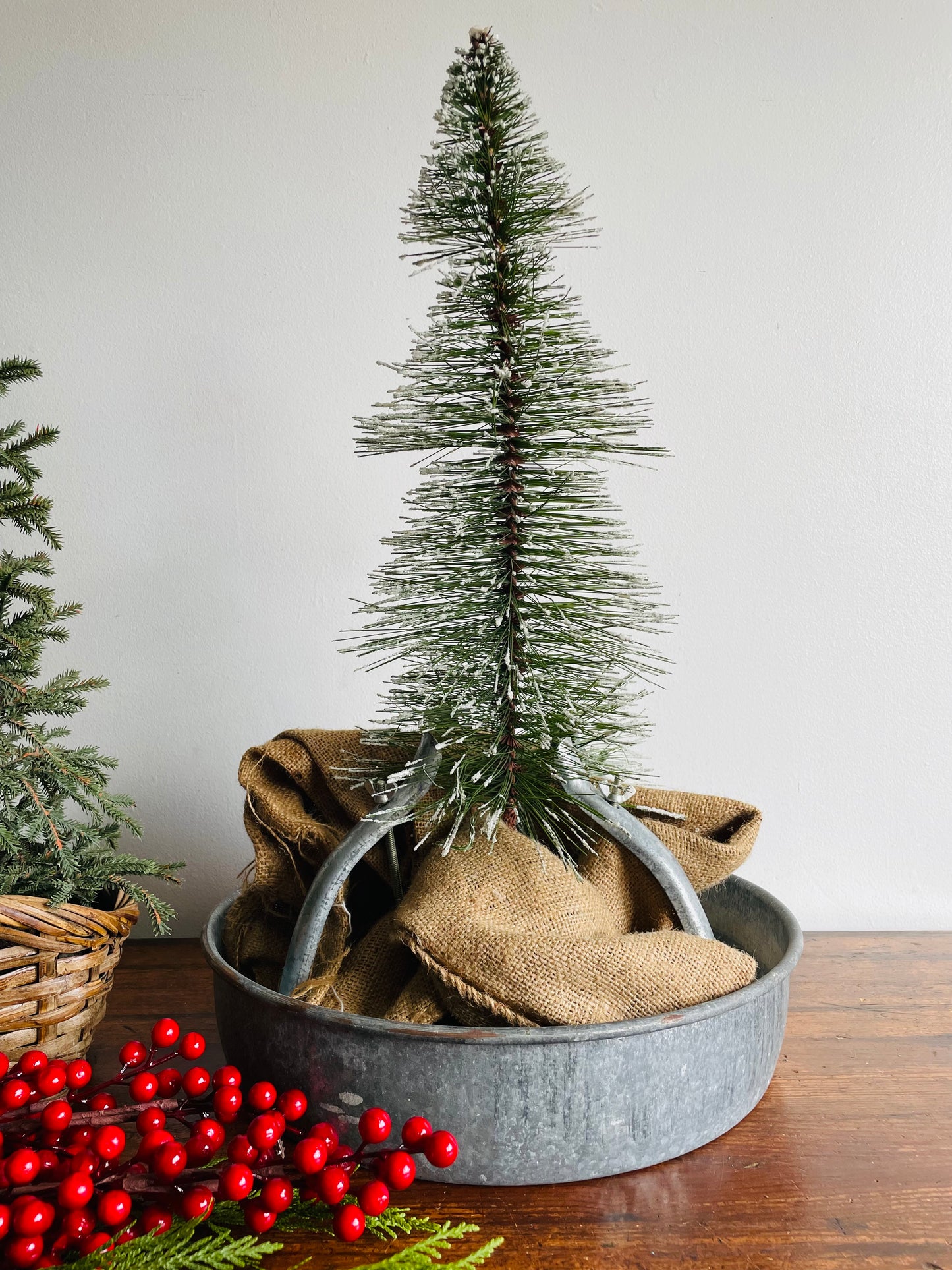 Galvanized Steel Gunnard 4 Brace No Problem Tree Stand - Less Watering, No Branch Cutting, Holds Crooked Trees Straight, Won't Rust!