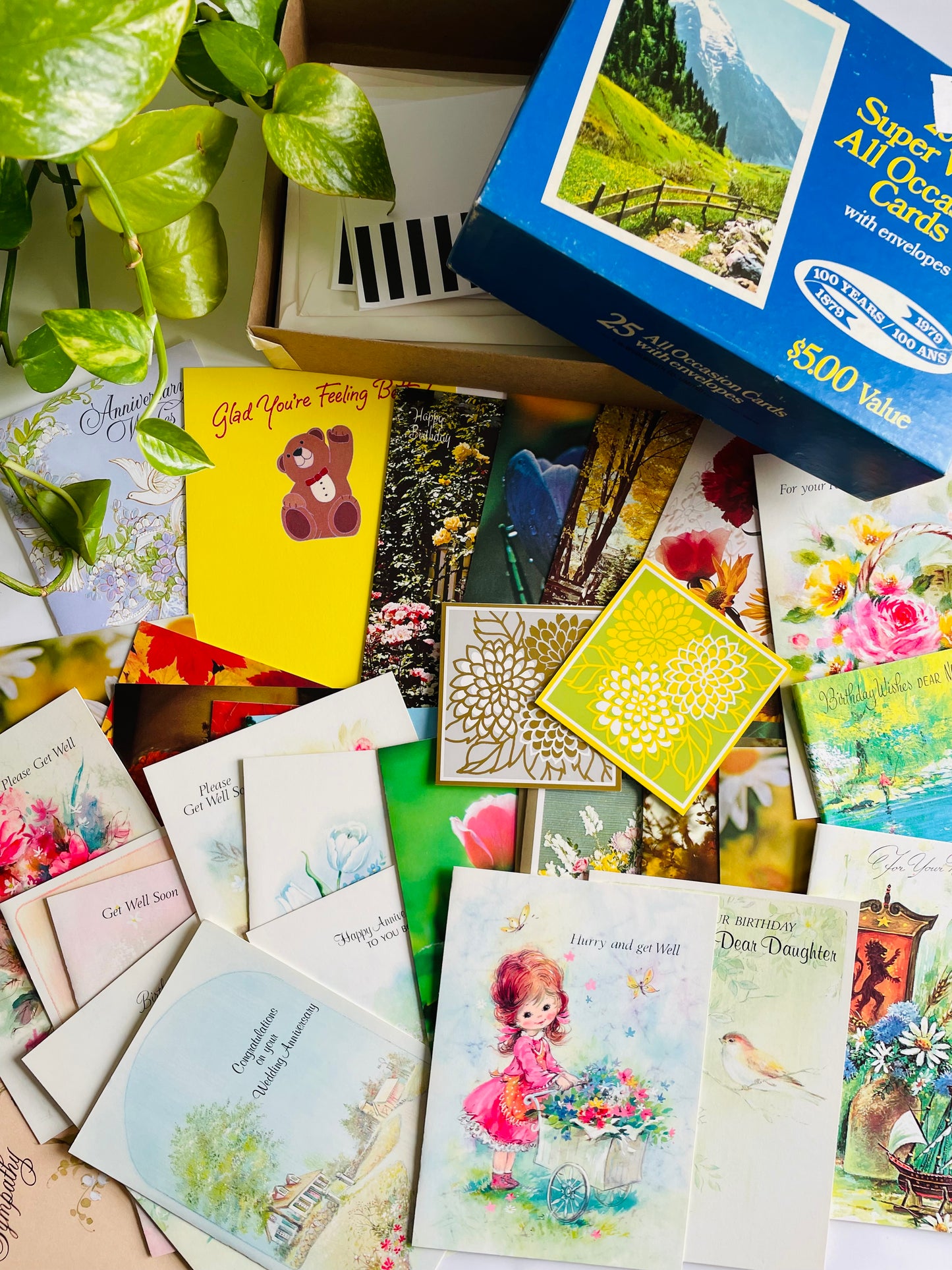 Vintage Box of Unused Assorted Greeting Cards for All Occasions - Set of 34 with Envelopes