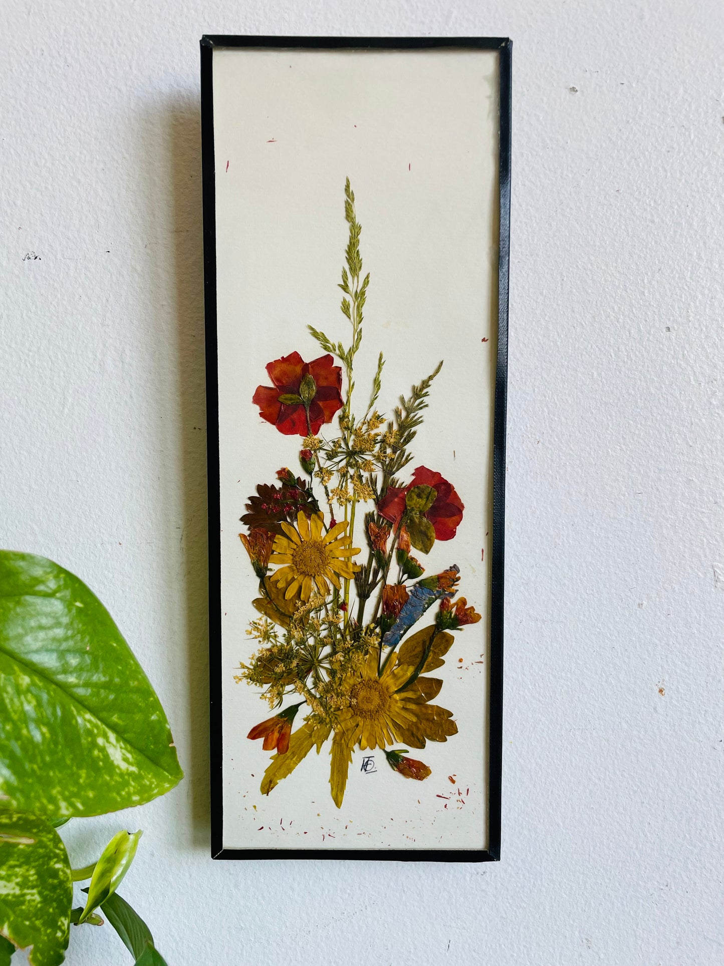 Vintage Canadian Wildflowers Meadowcharm Pressed Dried Flowers Picture - Artist Signed - Made in Canada