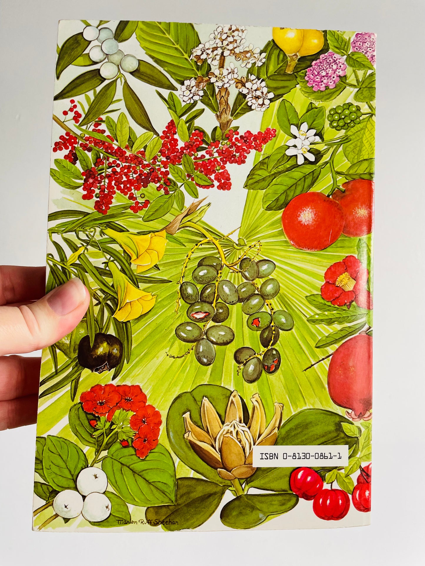 Florida Landscape Plants Native & Exotic by John V. Watkins & Thomas J. Sheehan Paperback Book (1975)