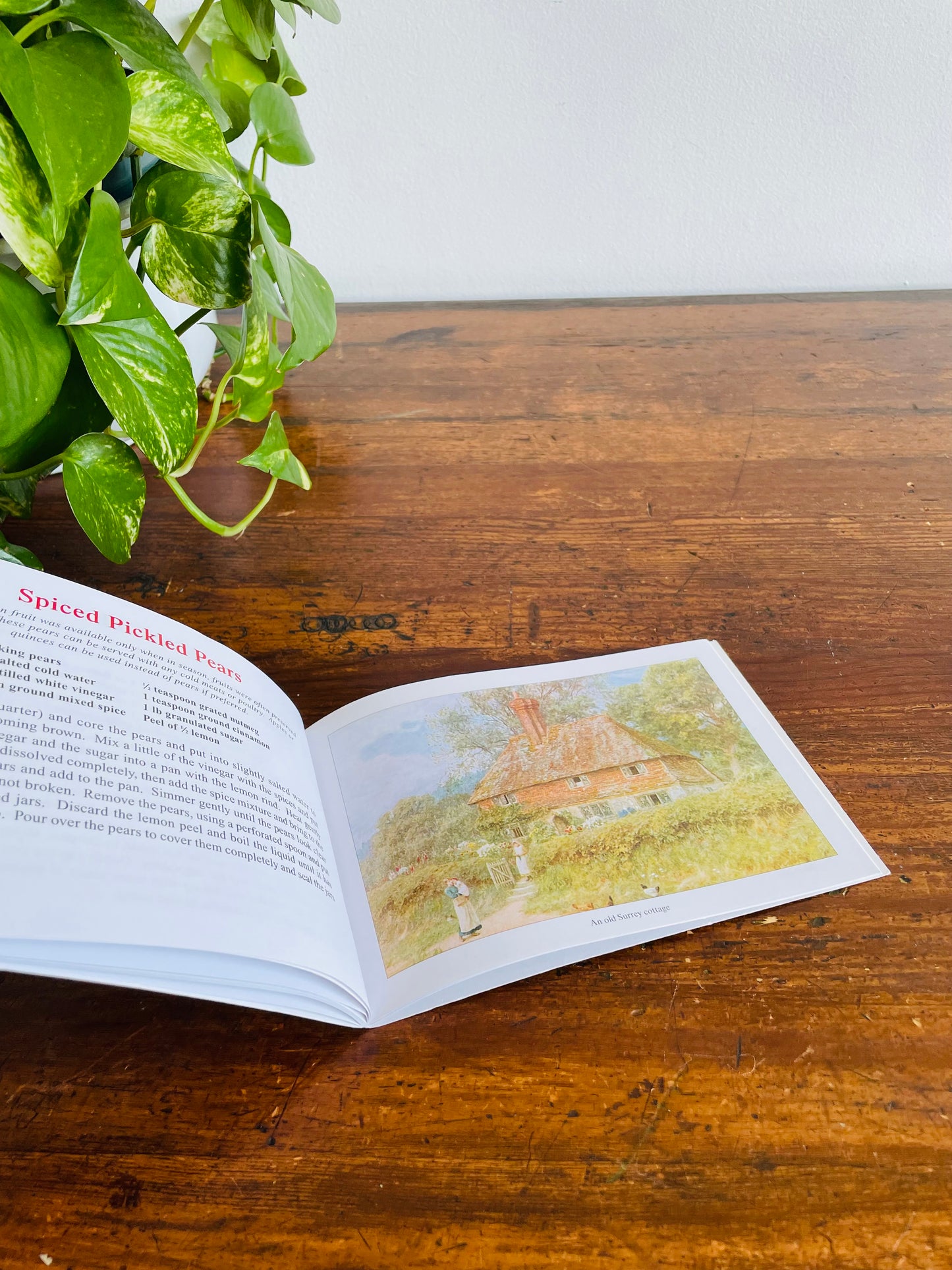 Favourite Country Preserves Pocket Cookbook - Traditional Homemade Jam, Chutney & Pickle Recipes