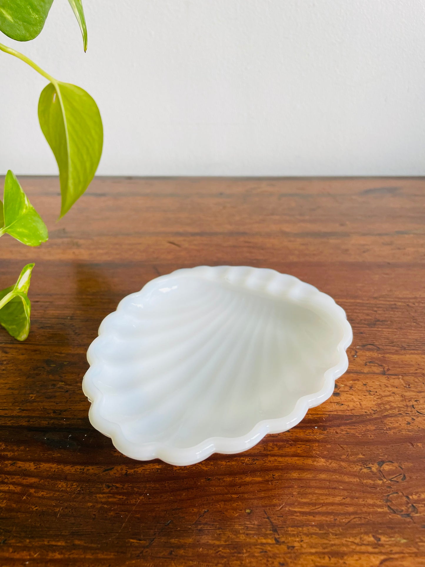 Milk Glass Shell Shaped Trinket Dish - Great for Jewellery, Soap, Scrubber, Business Cards, Etc.