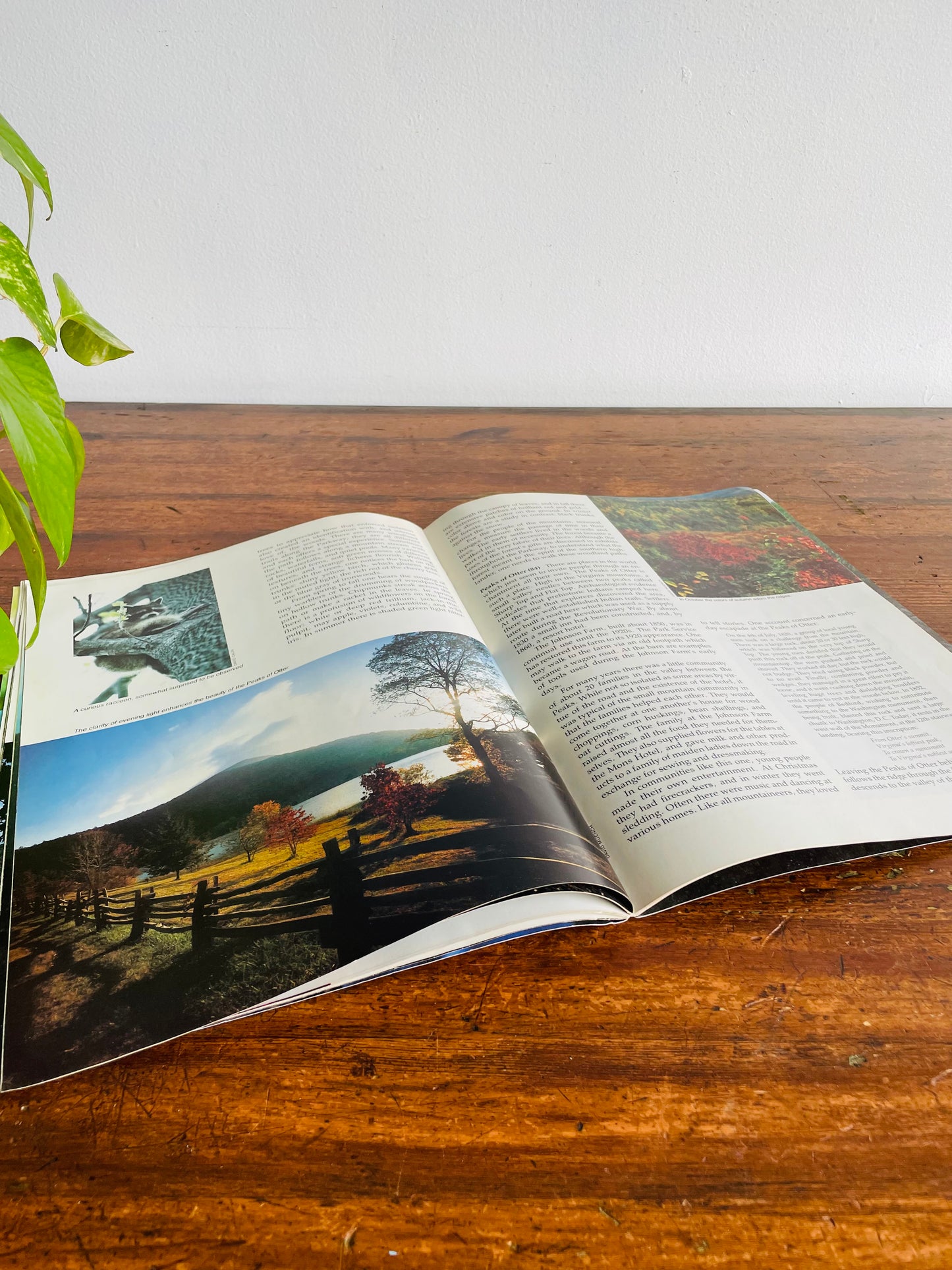 Blue Ridge Parkway: The Story Behind the Scenery Paperback Book (1982)