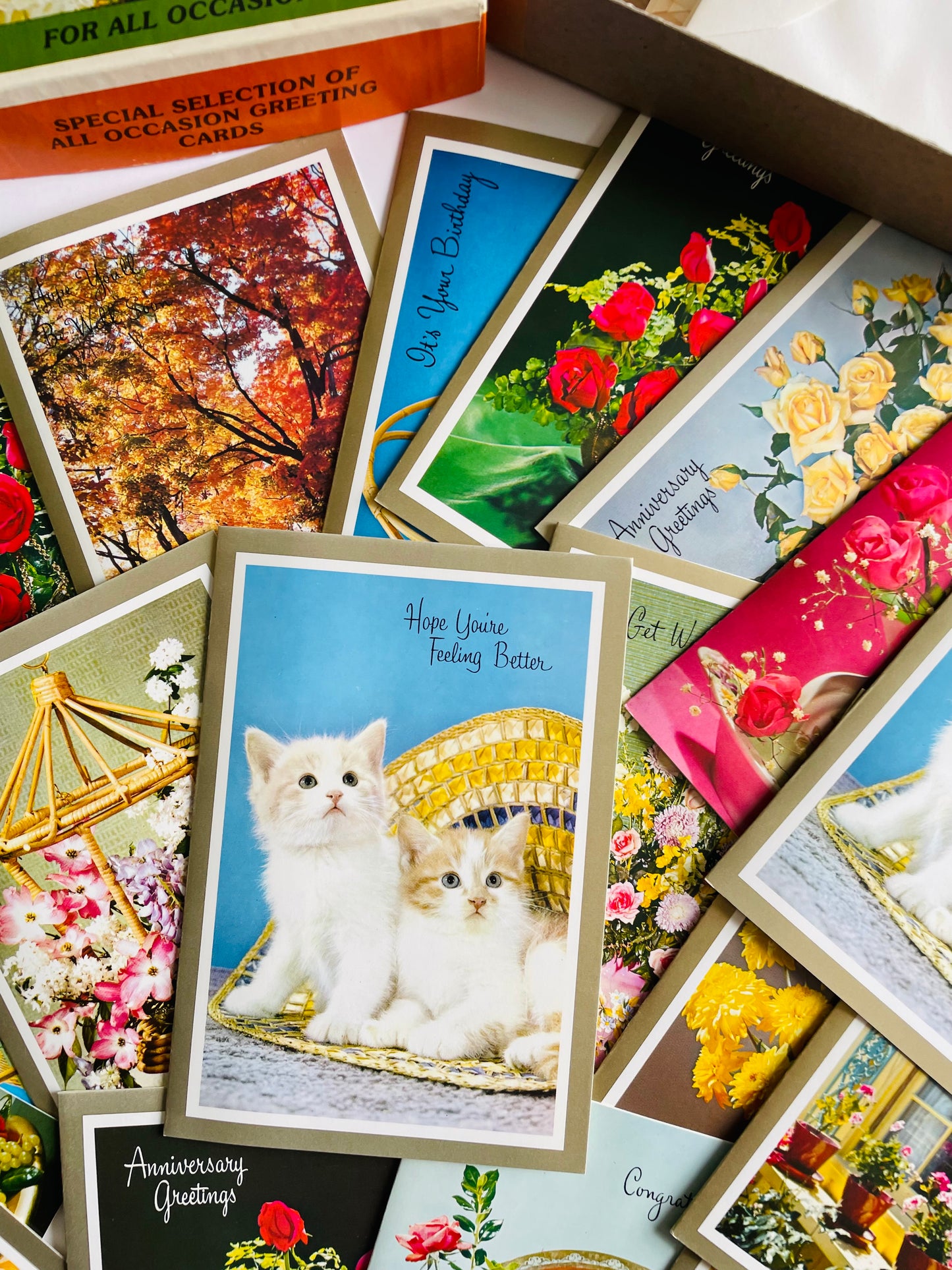 Vintage Box of Unused Assorted Greeting Cards for All Occasions - Floral, Kitten & Nature Theme - Set of 18 with Envelopes