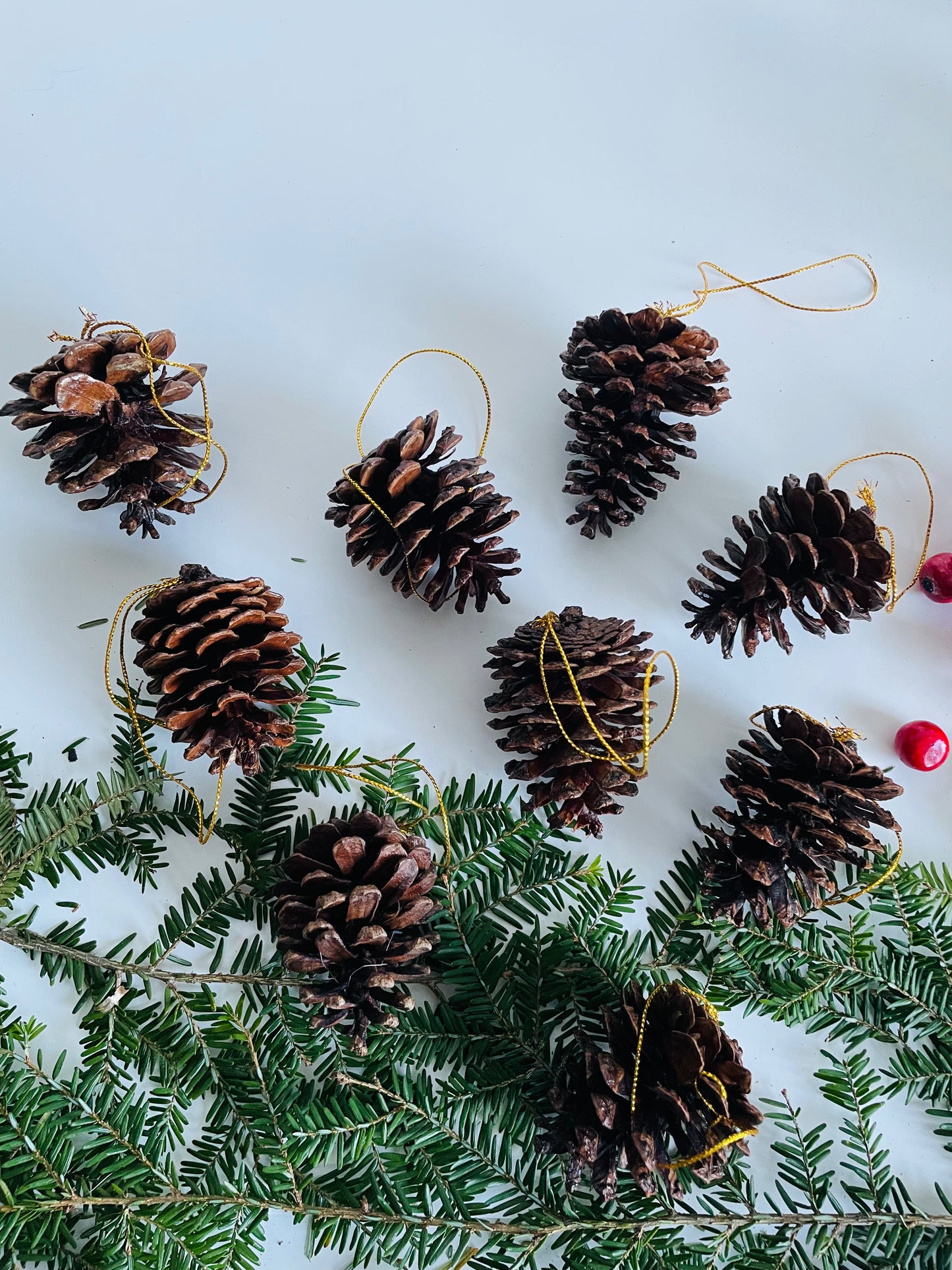 Pinecone Ornaments - Set of 9