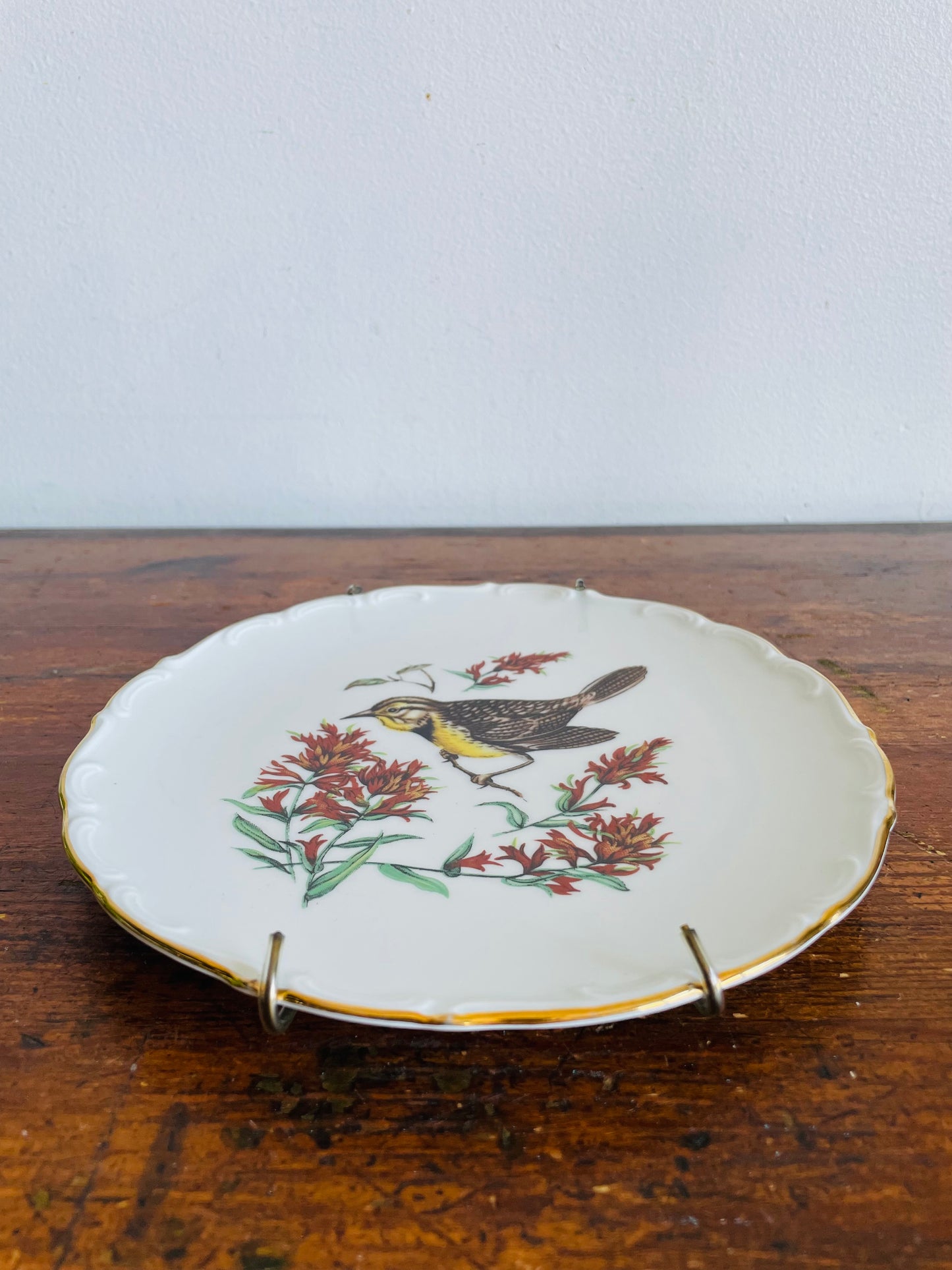 Vintage Bavaria Schumann Arzberg Germany Plate with Bird Design - Includes Wall Plate Hanger but Could Use Without