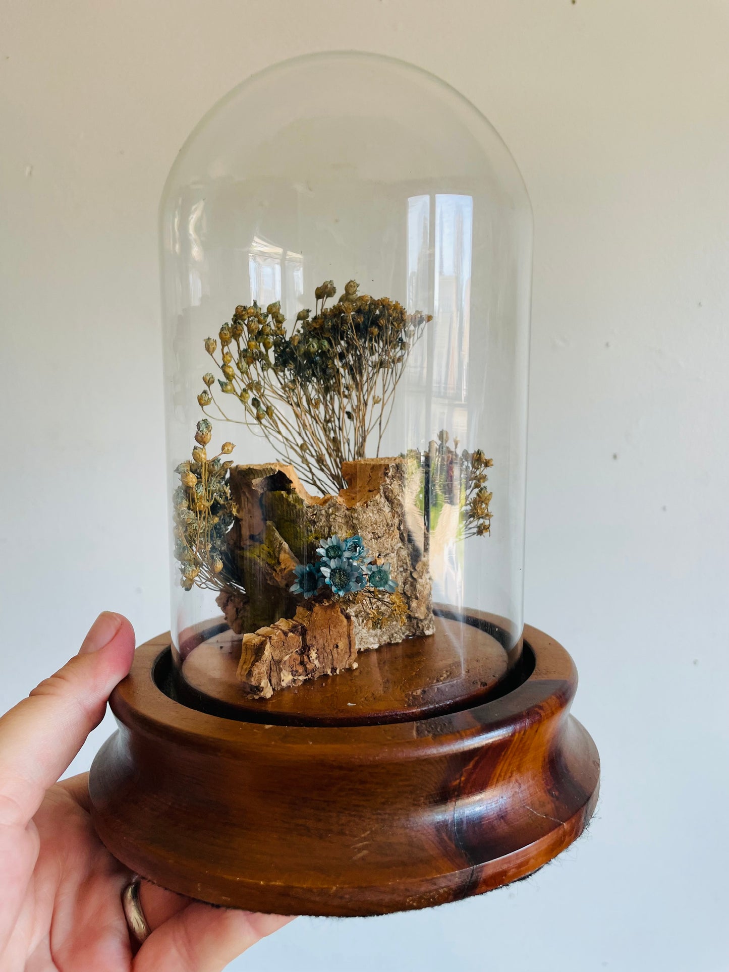 Vintage Glass Terrarium Cloche Dome on Wood Base with Dried Flower Display - Nature Decor