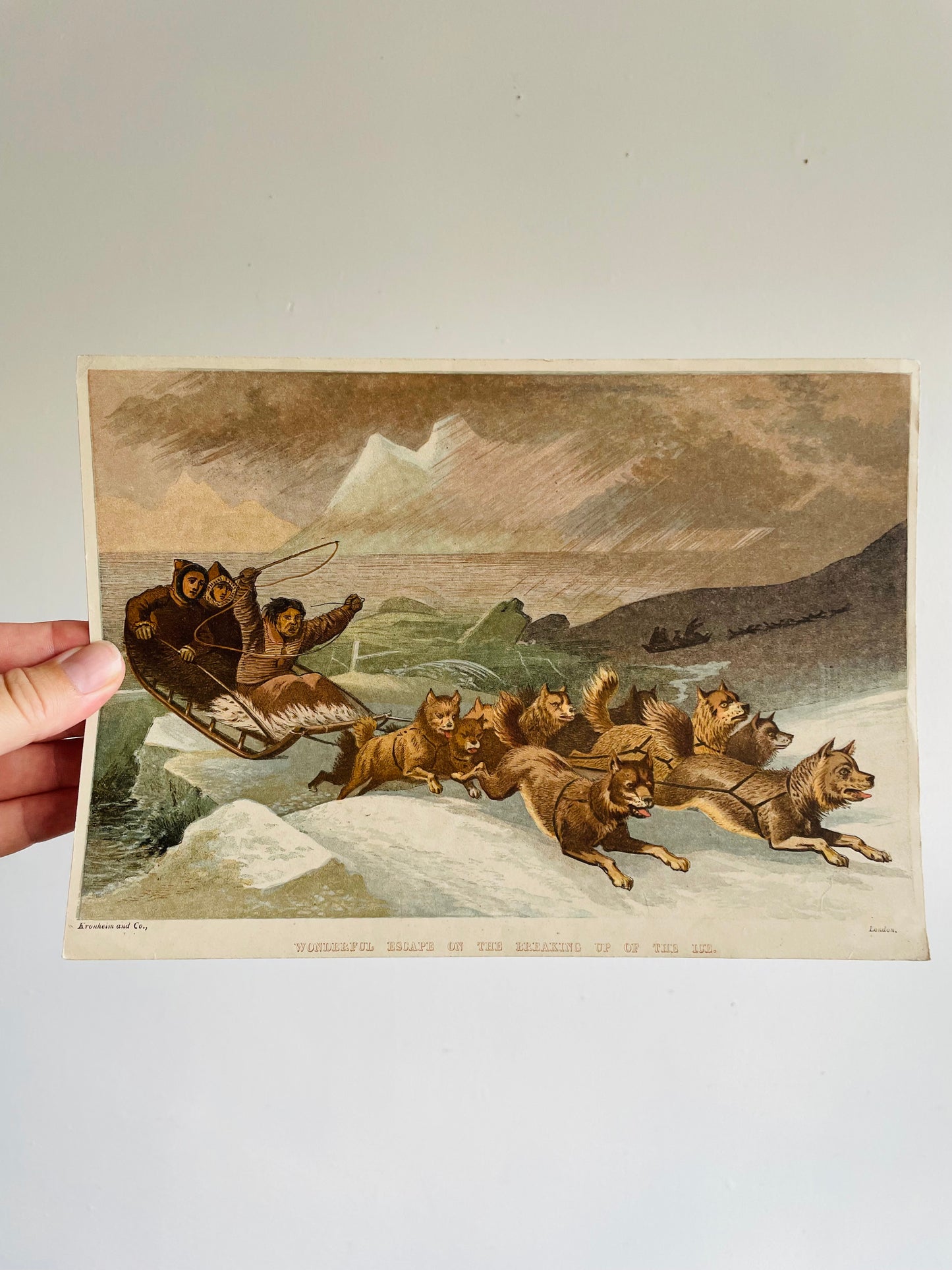 Vintage Lithograph Print Picture - "Wonderful Escape on the Breaking Up of the Ice" with Dog Sled Team in Arctic - Kronheim and Co., London