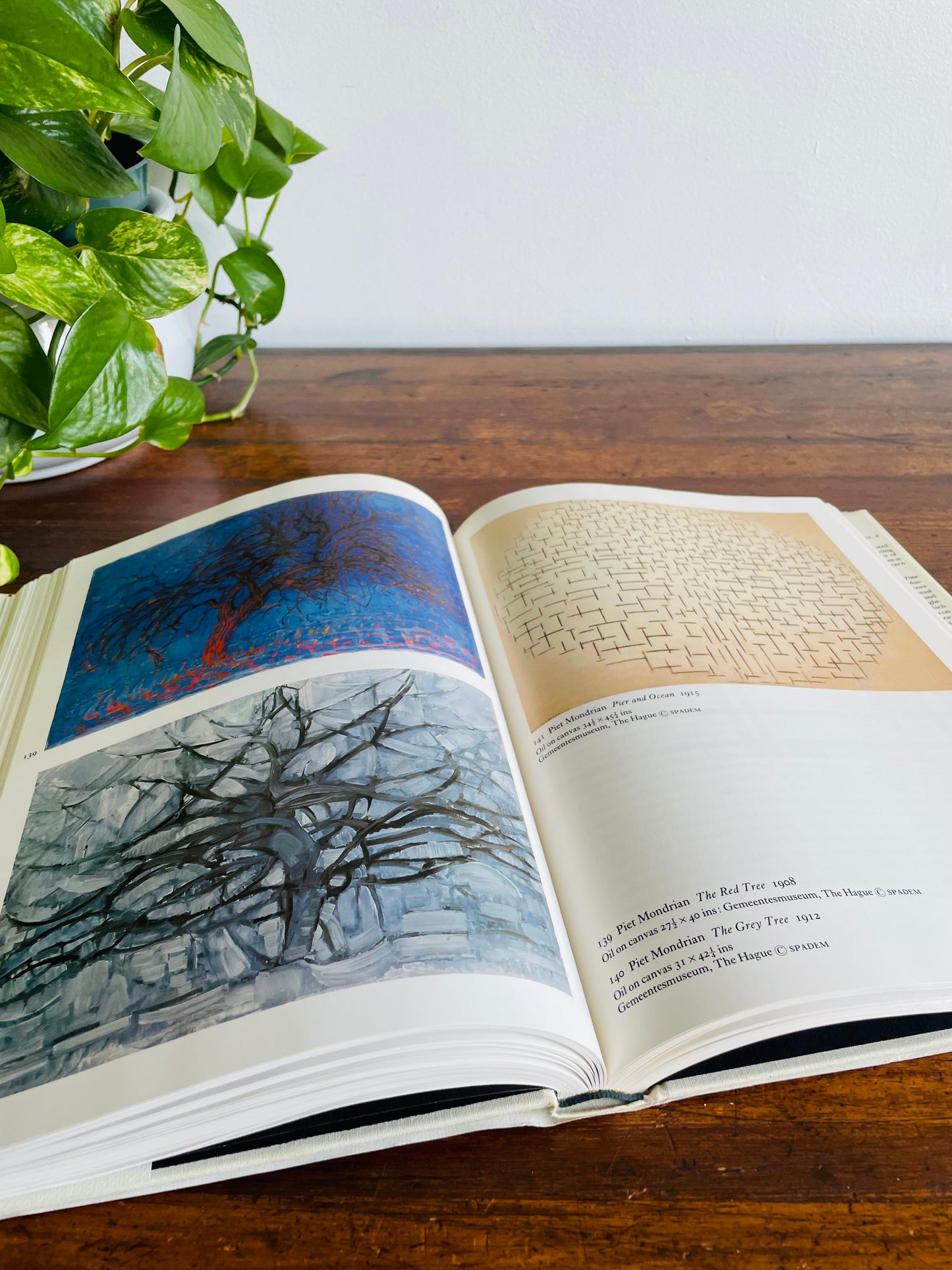 The Shock of The New: The Hundred-Year History of Modern Art Hardcover Book by Robert Hughes (1980)