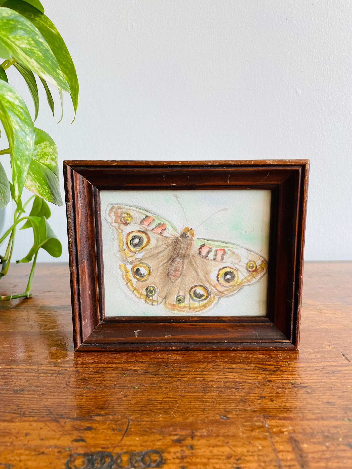 Original Art - Small Watercolour Painting of a Moth