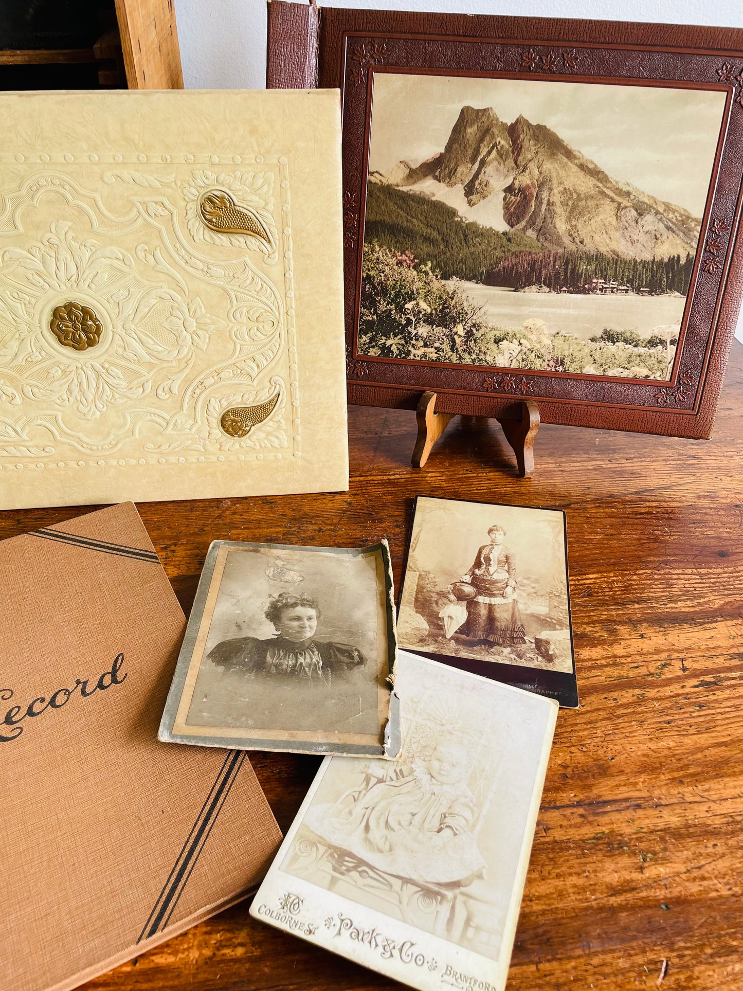Antique Late 1870s Cardboard Mounted Portrait Picture of Woman in Dress - Stamped Farmer Brothers Photographers 8 & 10 King St. West Hamilton, Ontario