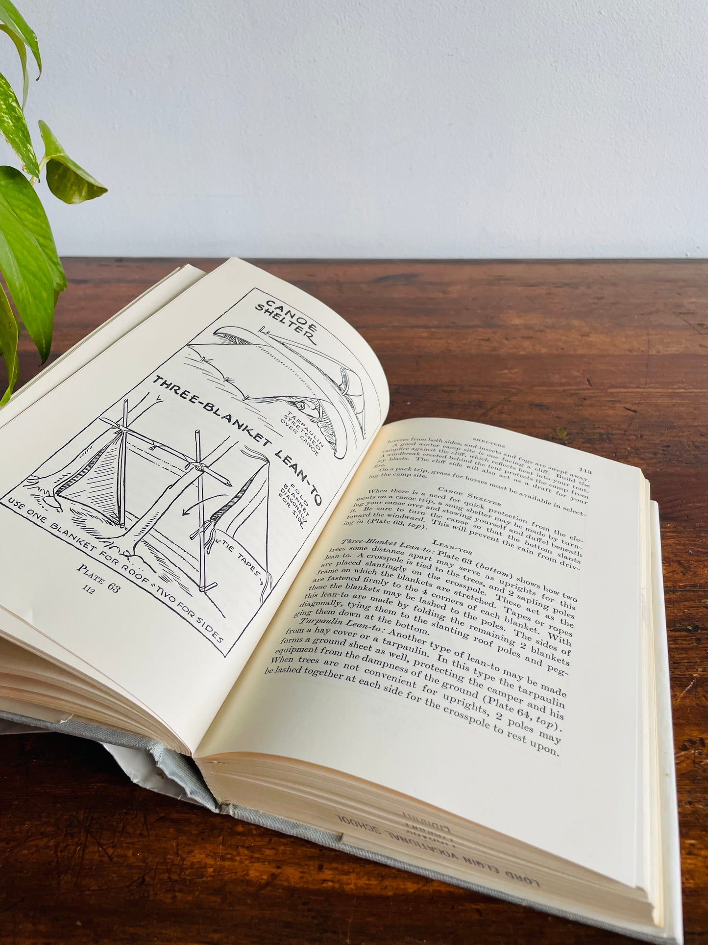 Wildwood Wisdom by Ellsworth Jaeger Hardcover Book (1971) - Camping & Woodsmanship Guide