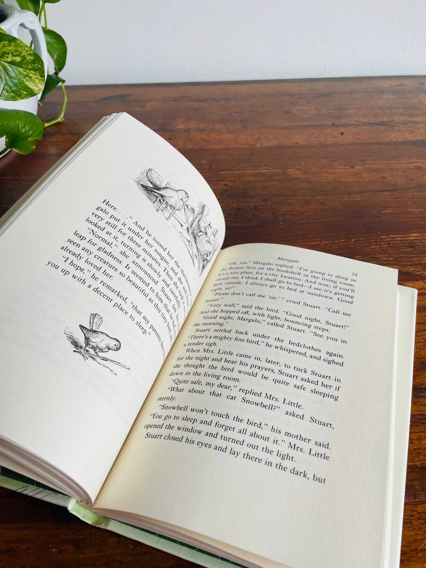 Stuart Little by E. B. White Hardcover Book with Pictures by Garth Williams (1973)