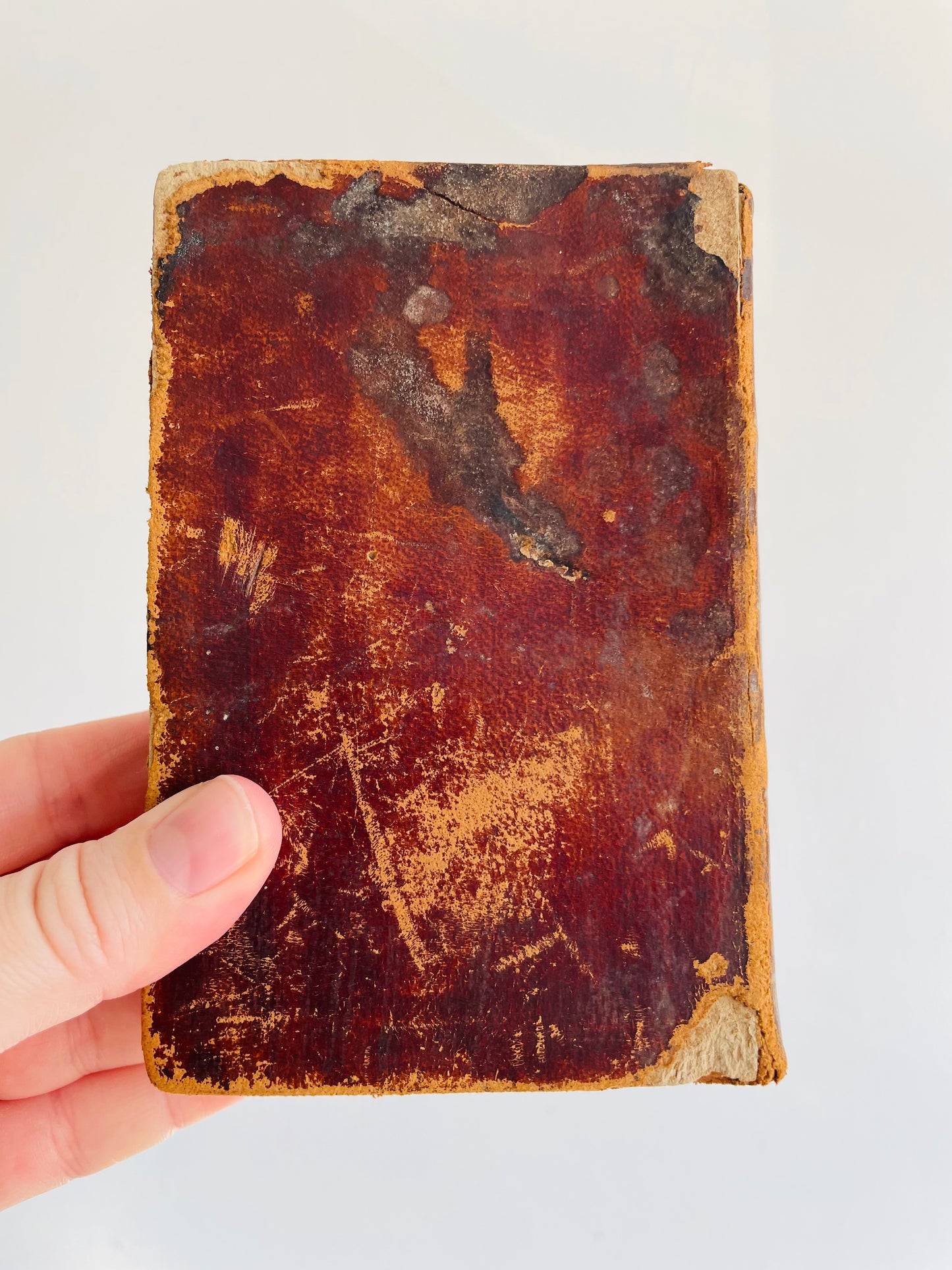 Antique Bunyan's Pilgrim's Progress Leather Book (1844) - Edited by Rev. T. Scott, M.A. - Case, Tiffany and Co. Print