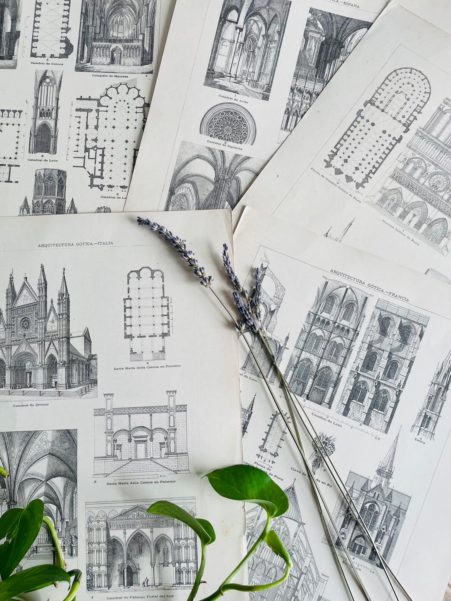 Gothic Architecture of France Page Print from Book # 2 - Found in Lisbon, Portugal