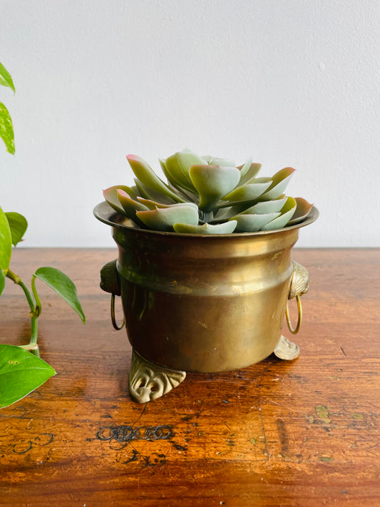 Footed Brass Planter Pot with Lion Head Handles