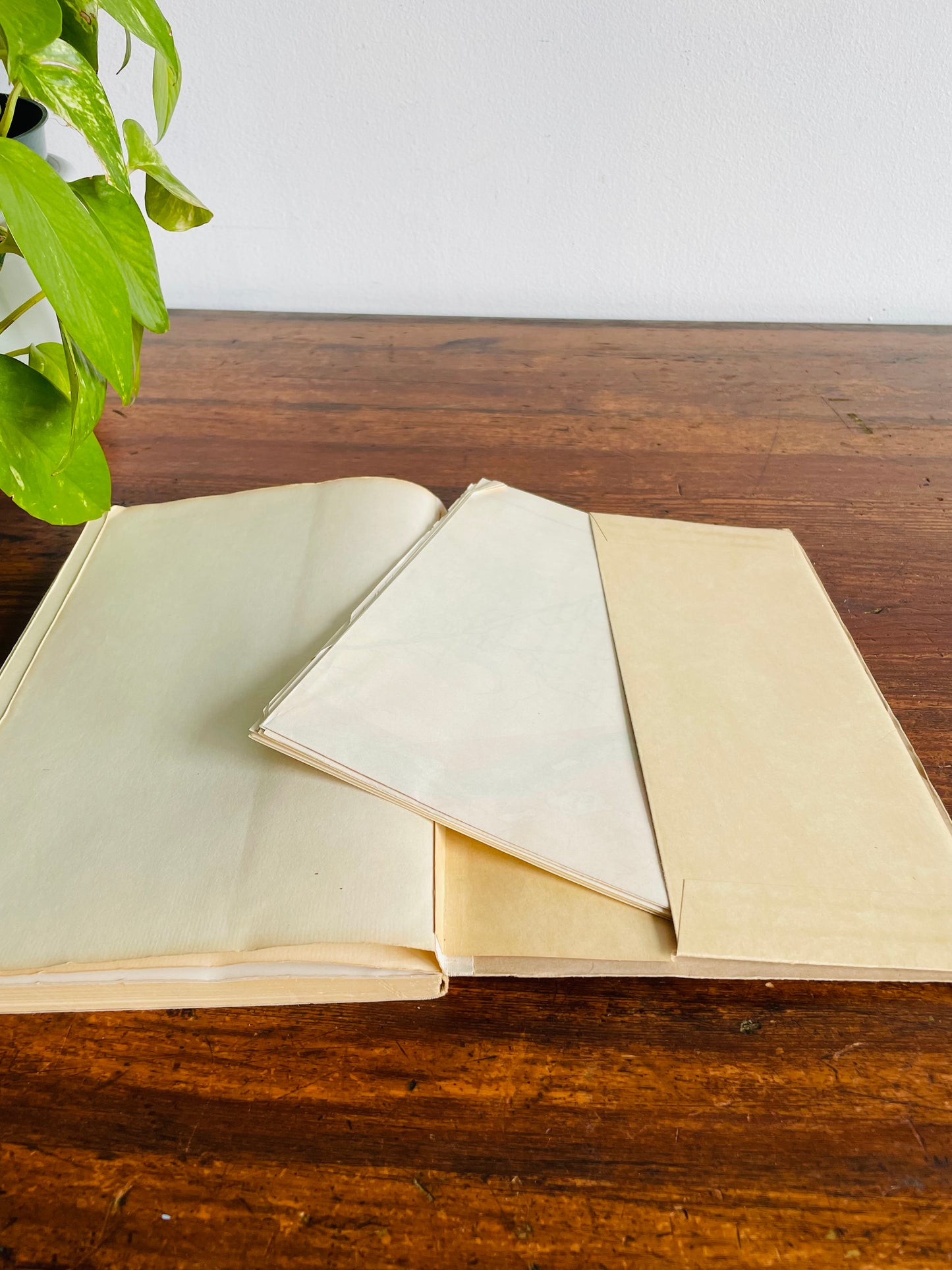 The Stratigraphy and Trilobite Faunas of the Cambrian Sedimentary Rocks of Cape Breton Island Nova Scotia by R.D. Hutchinson Paperback Book with Maps - Canada Department of Mines and Technical Surveys - Geological Survey of Canada Memoir 263 (1952)