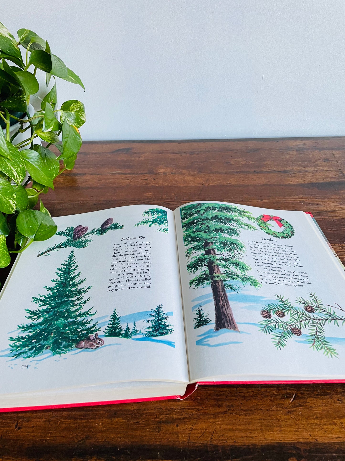 Wonders of Nature: A Child's Introduction to the World of Animals, Plants, Birds, Fish & Insects Hardcover Book by Parents' Magazine Press (1974)
