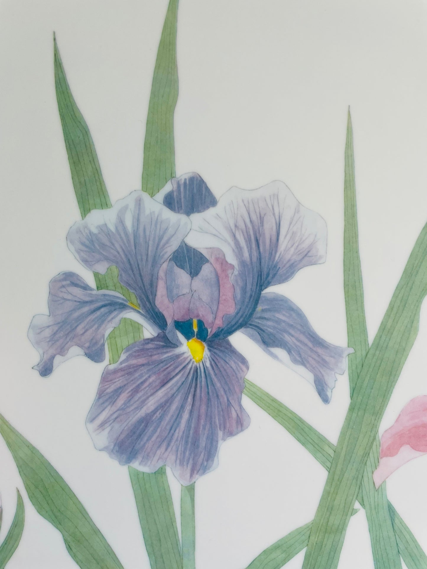 Mebel Melamine Serving or Decorative Tray with Purple & Pink Iris Flowers - Made in Italy