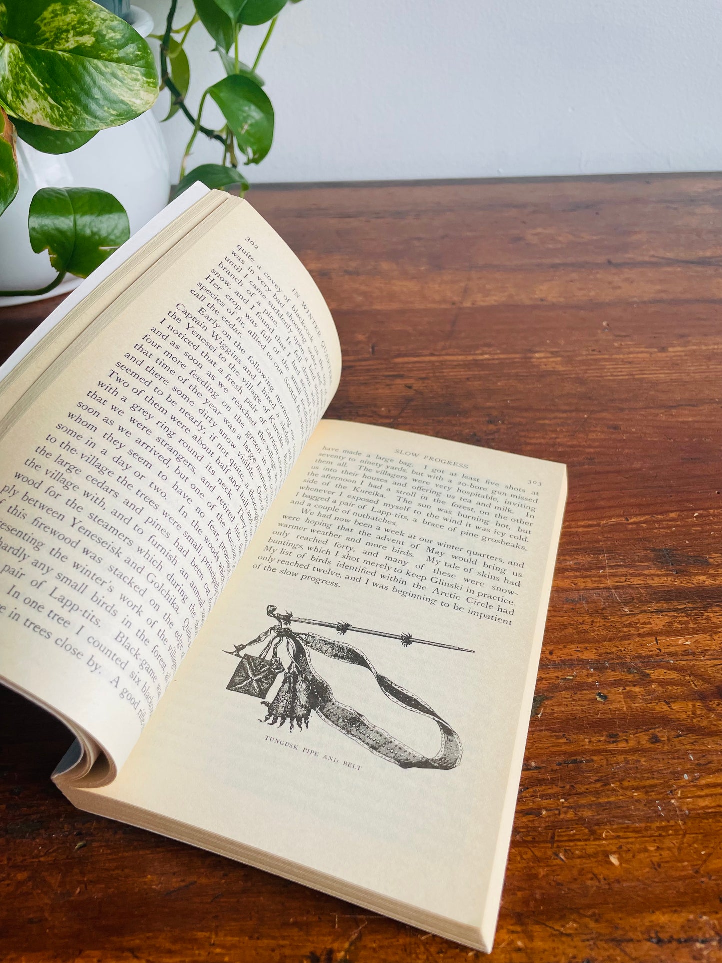 The Birds of Siberia The Yenesei Paperback Book by Henry Seebohm (1985)